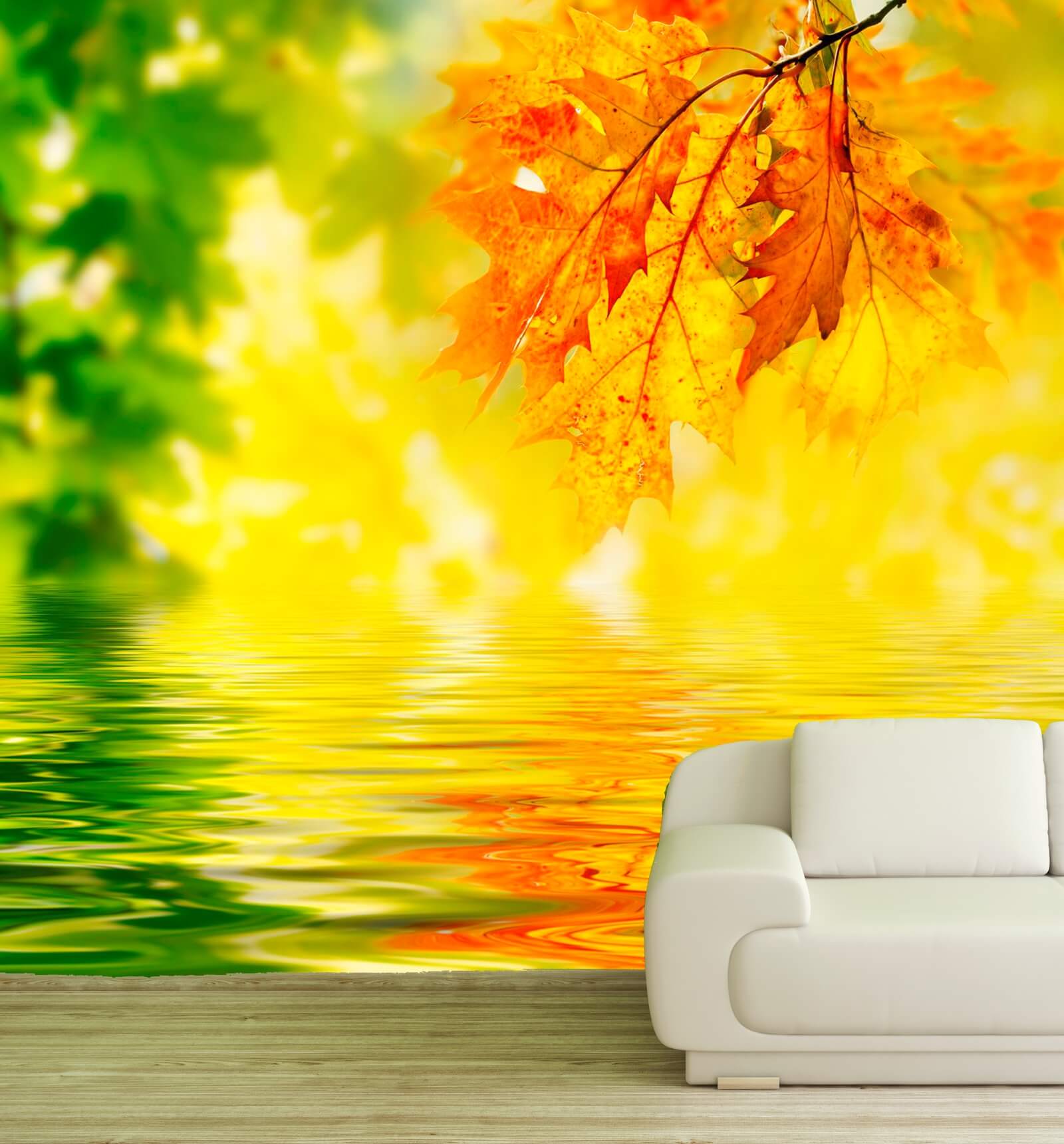 006-fototapete-poster-vlies-herbst-sonne-wald-indian-summer-2