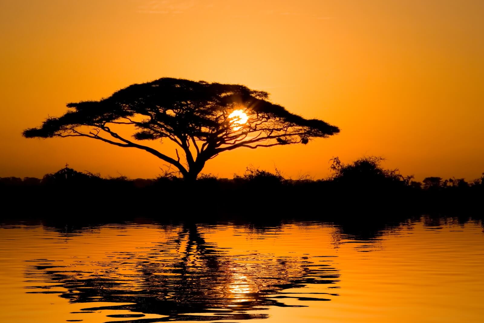 047-fototapete-vlies-tapete-afrika-sonnenuntergang