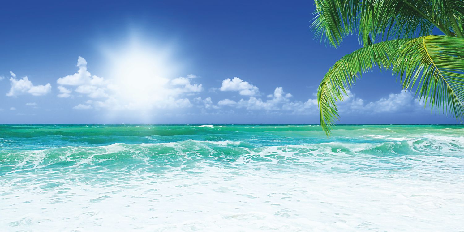 14012_0026_fototapete_karibik_sommer_palmen_meer5551c40b78c37