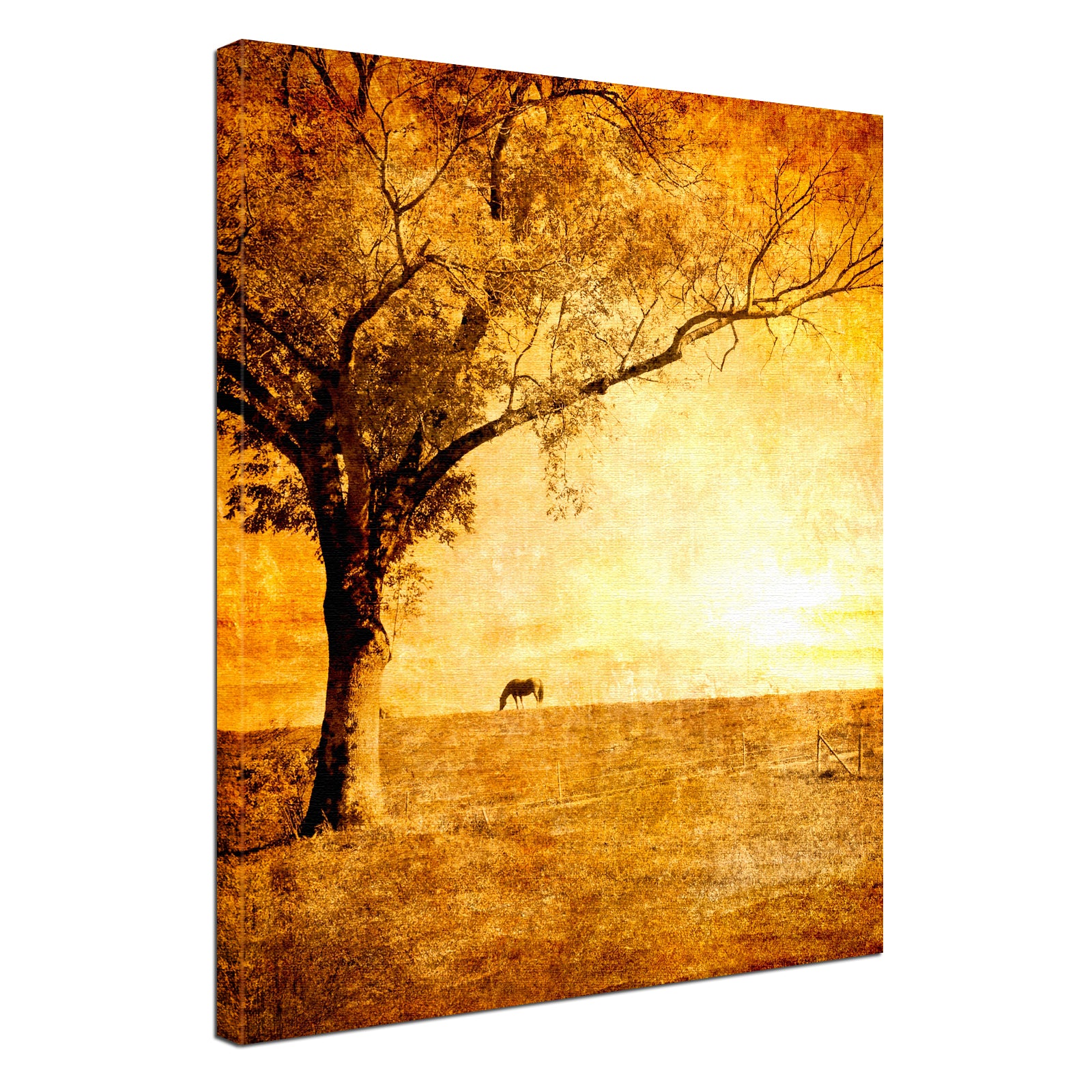 19171_0023_landschaft-retro55d7185958118