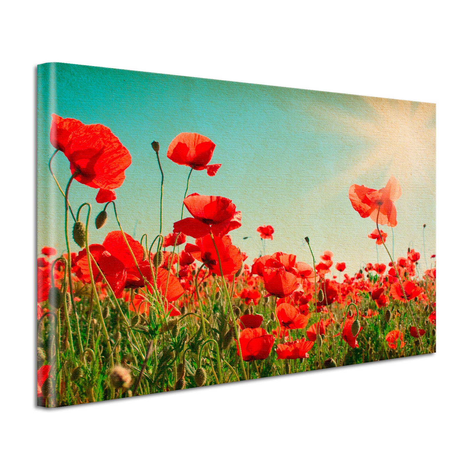 60122_0059_mohnblumen-vintage