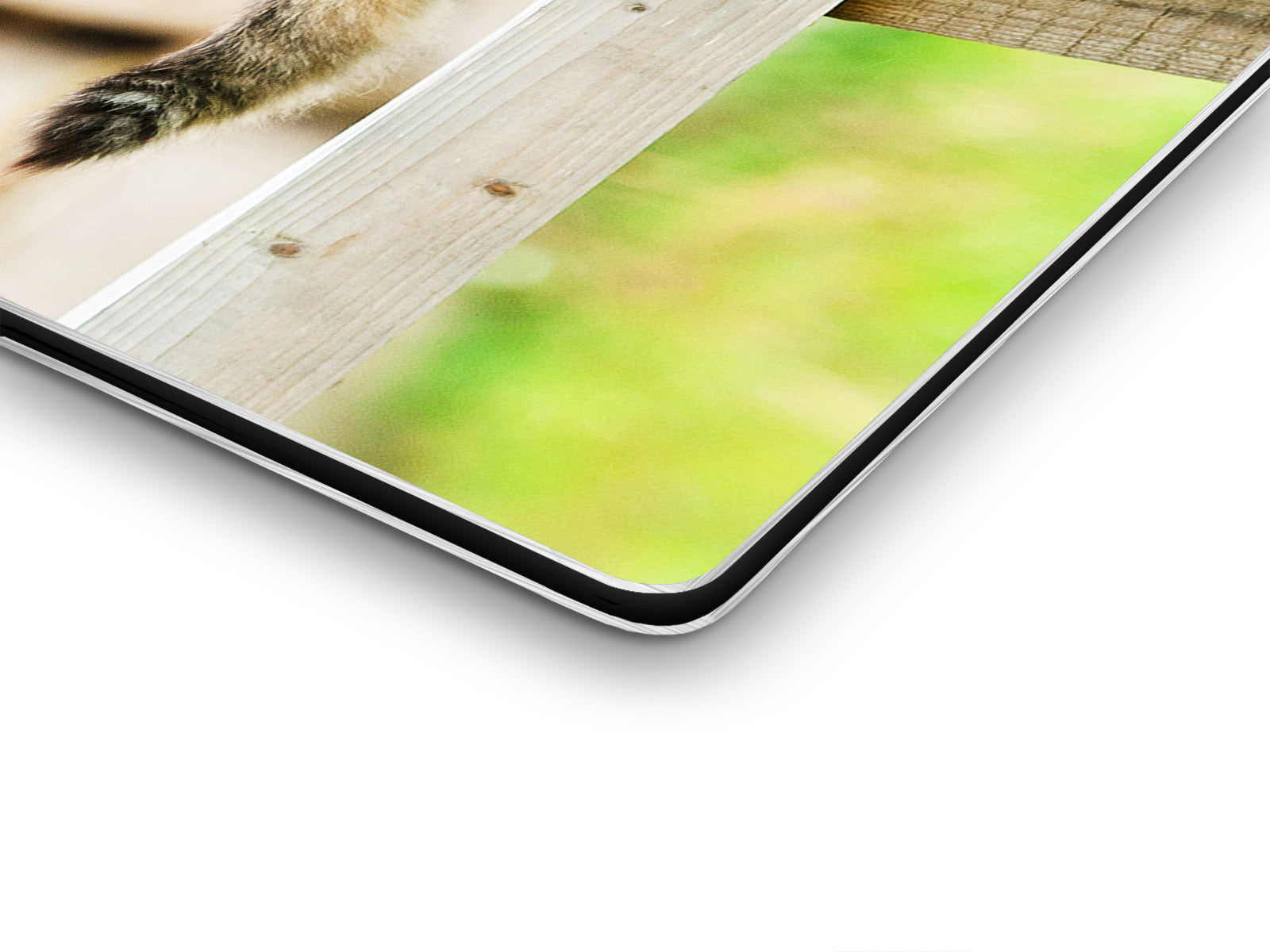 Magnettafel Pinnwand Magnetbild Pferde Katze Freunde