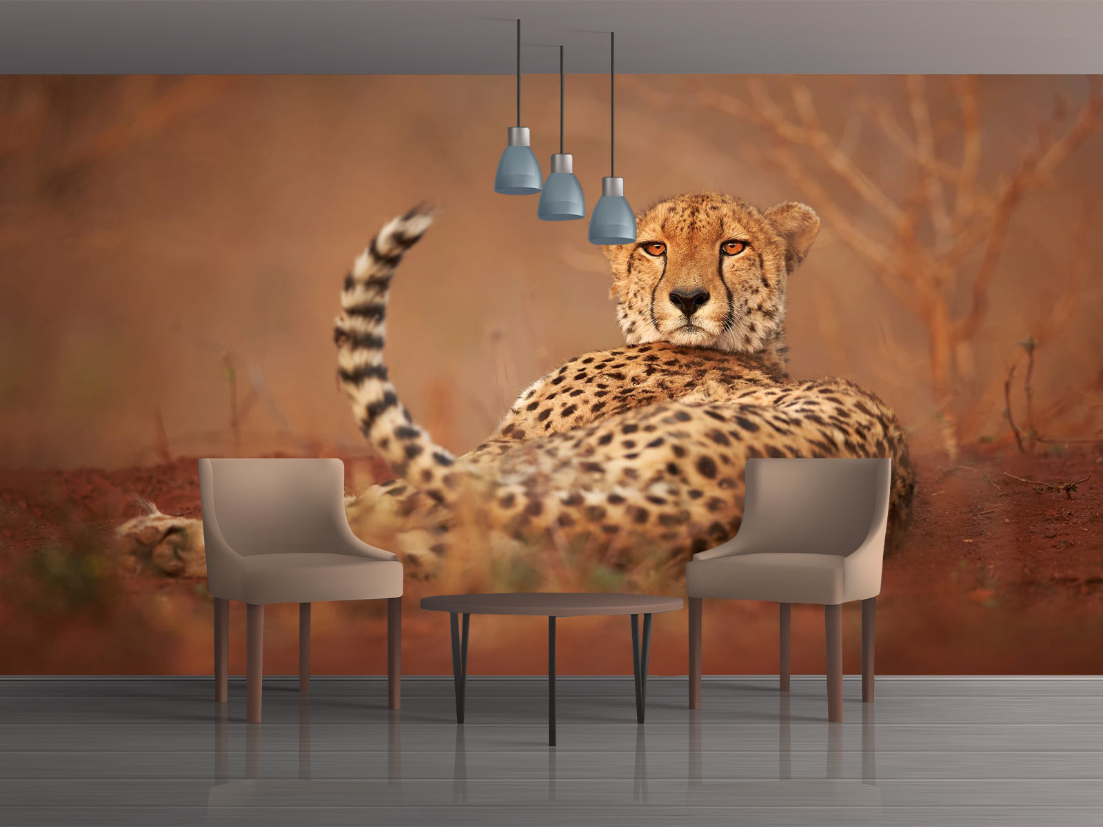 Fototapete Gepard Chill