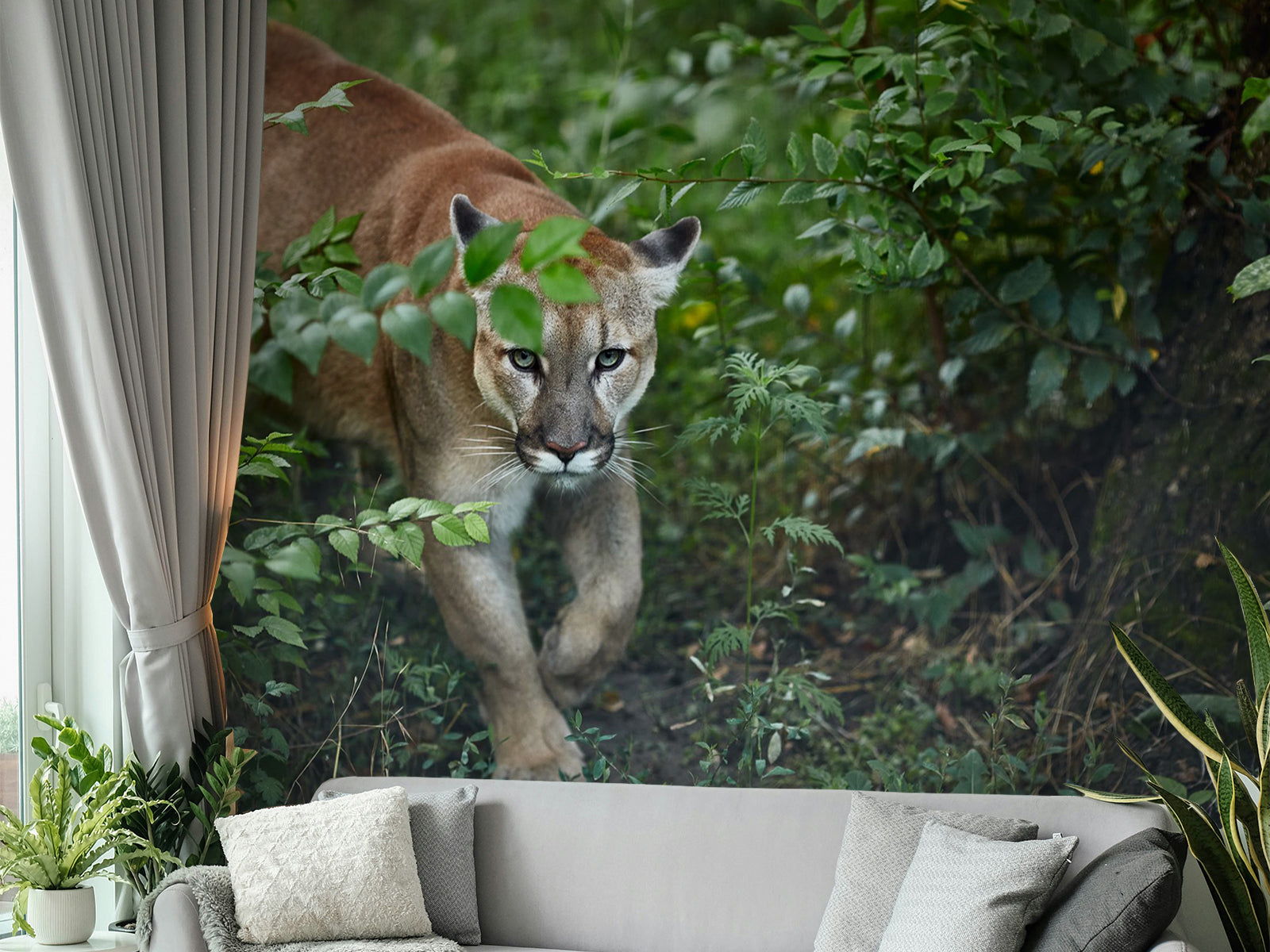 Fototapete Puma Berglöwe Wald