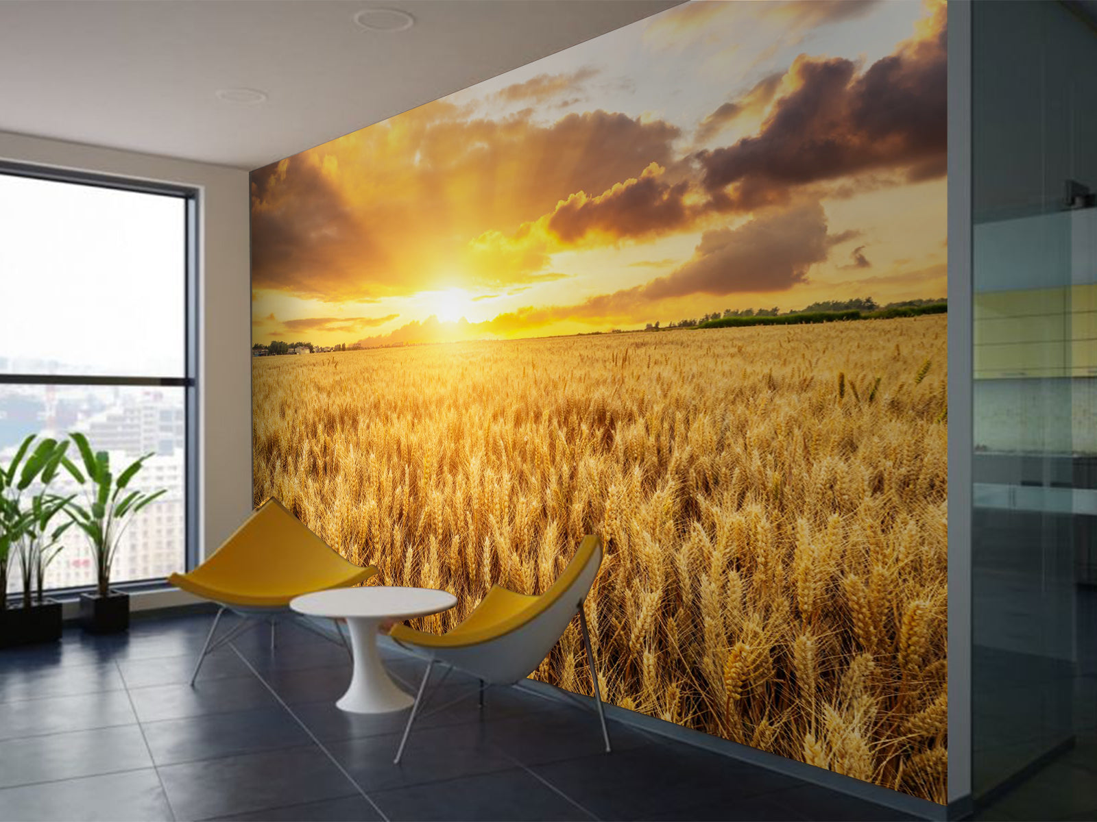 Fototapete Getreidefeld Sonnenuntergang