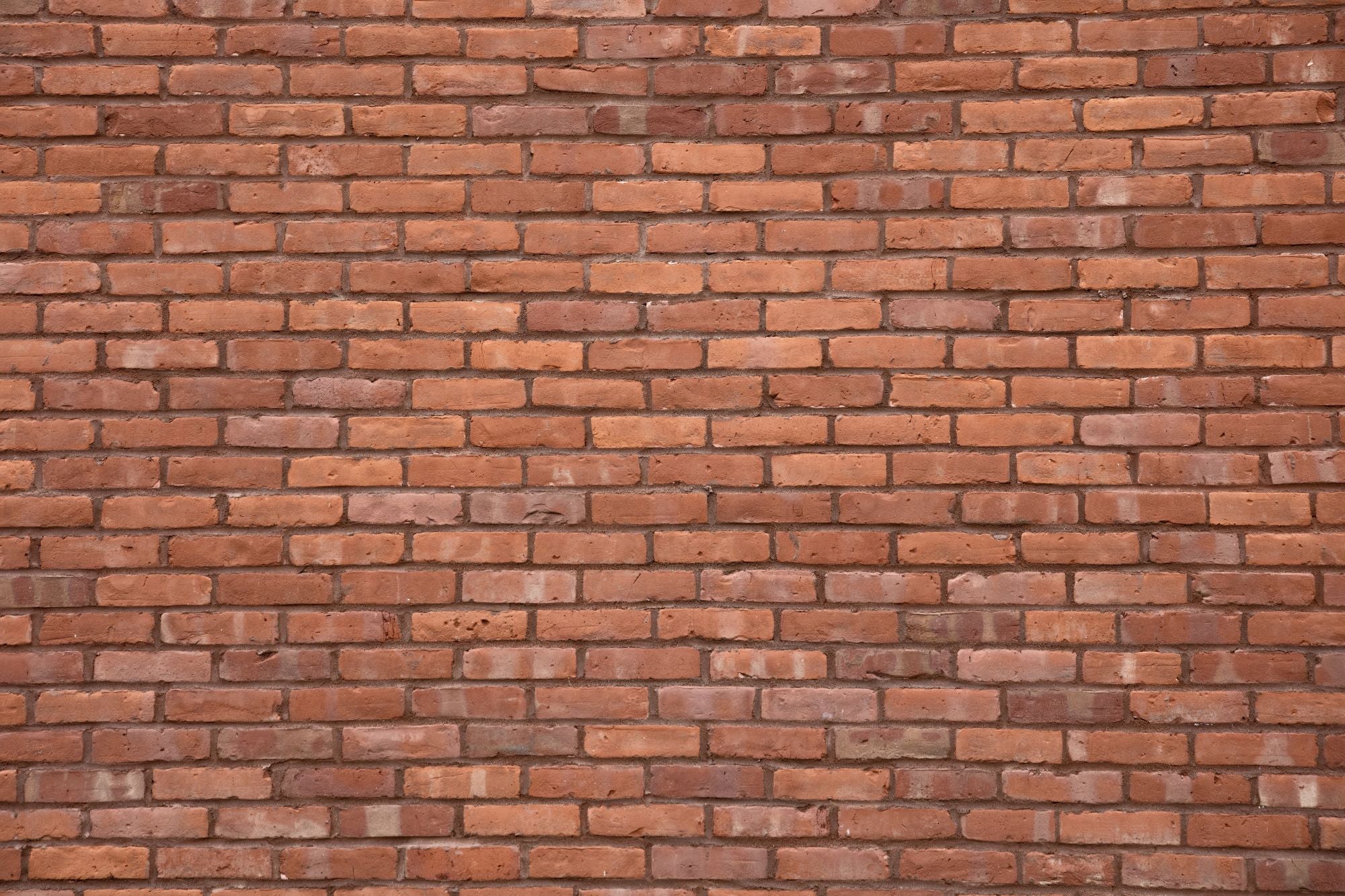 Fototapete Ziegelstein Mauer