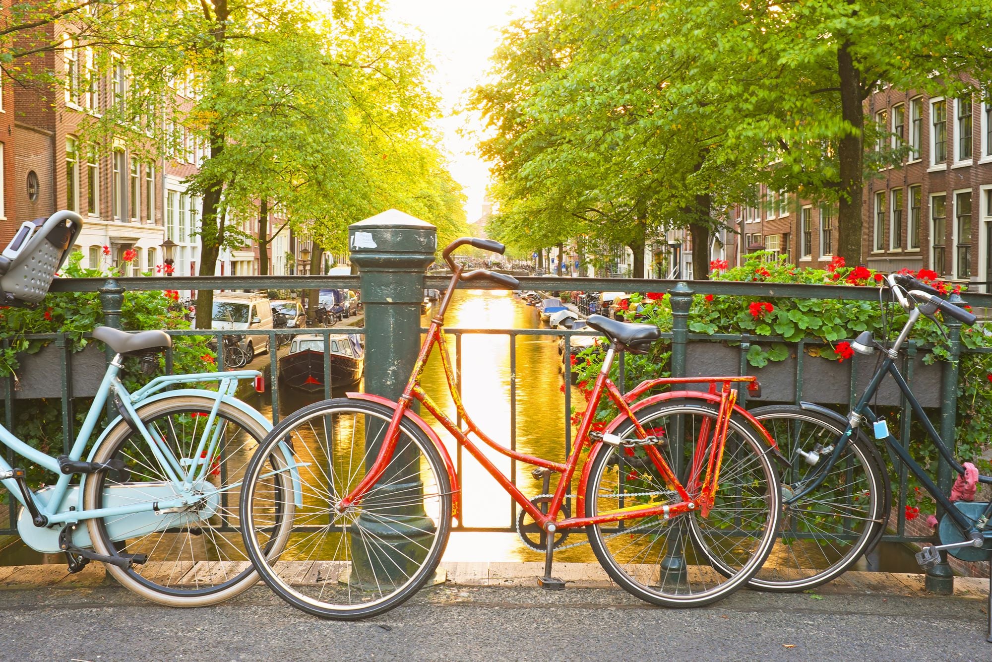 Fototapete Fahrräder Amsterdam Sonnenuntergang