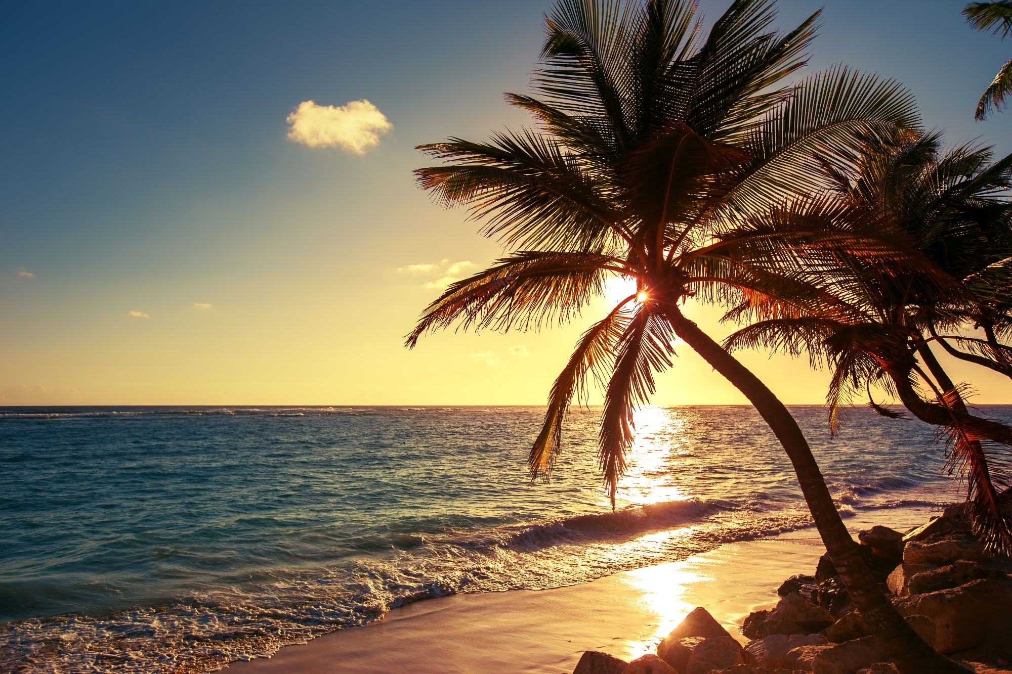 Fototapete Strand Palme Sonnenuntergang Meer