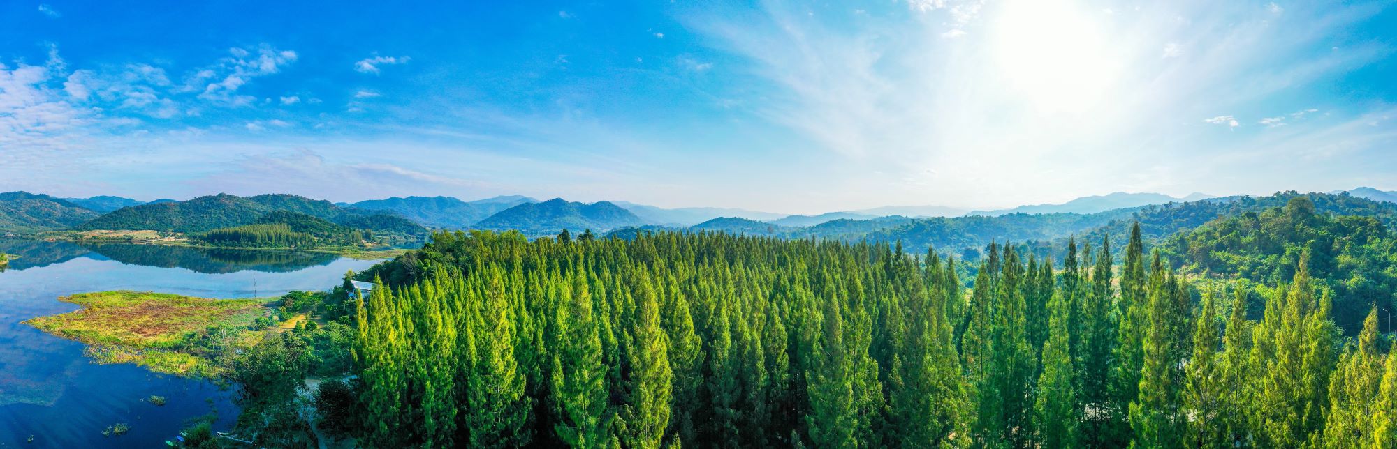 Fototapete Wald Gebirge Himmel