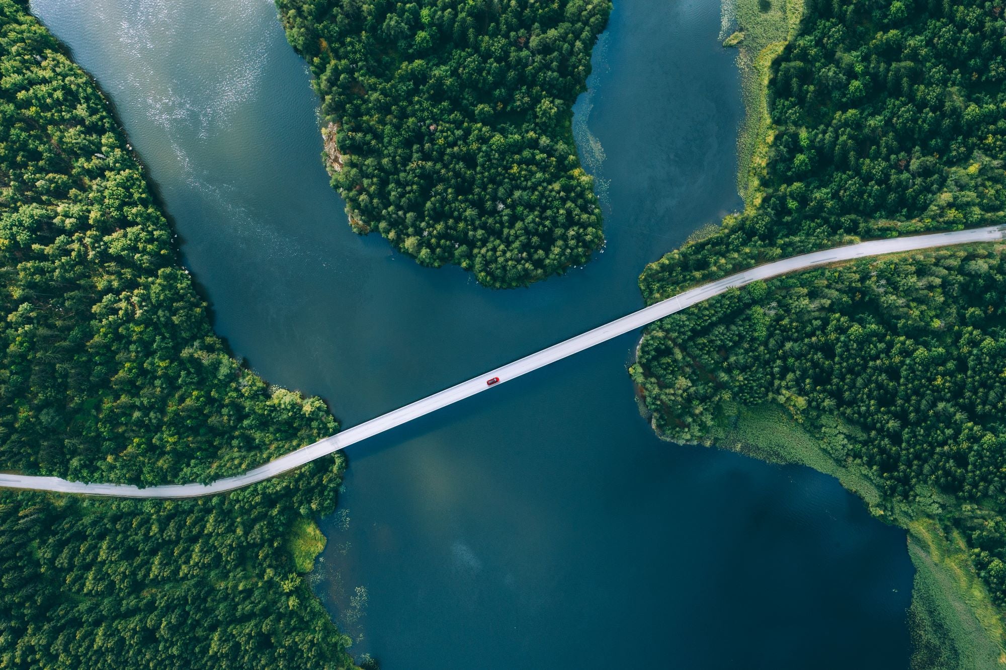 Fototapete Fluss Brücke Wälder