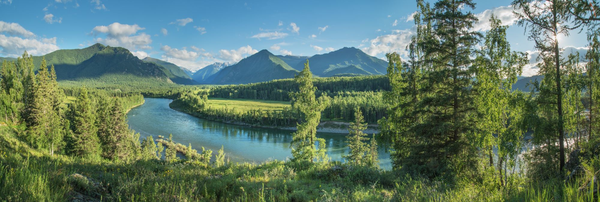 Fototapete Wald Blick auf Fluss