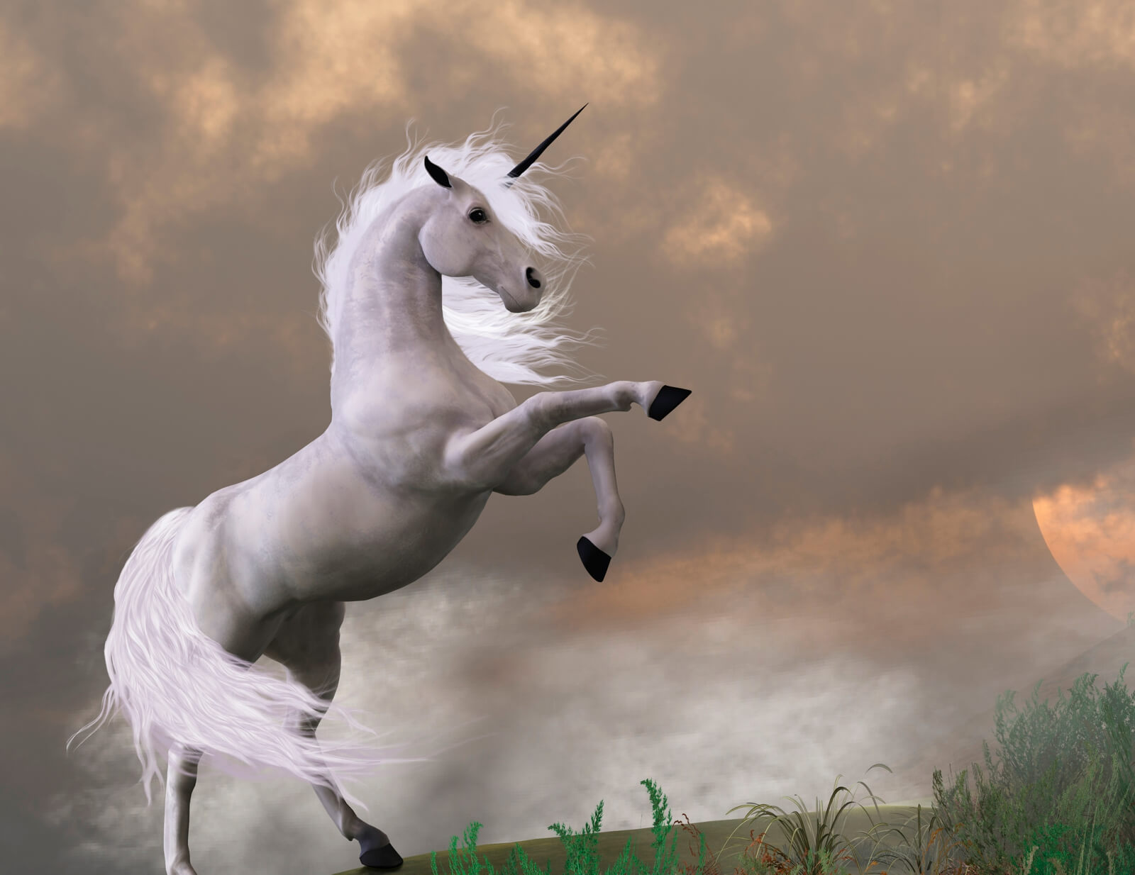 faqf141-poster-fototapete-tapete-vlies-einhorn-weiss