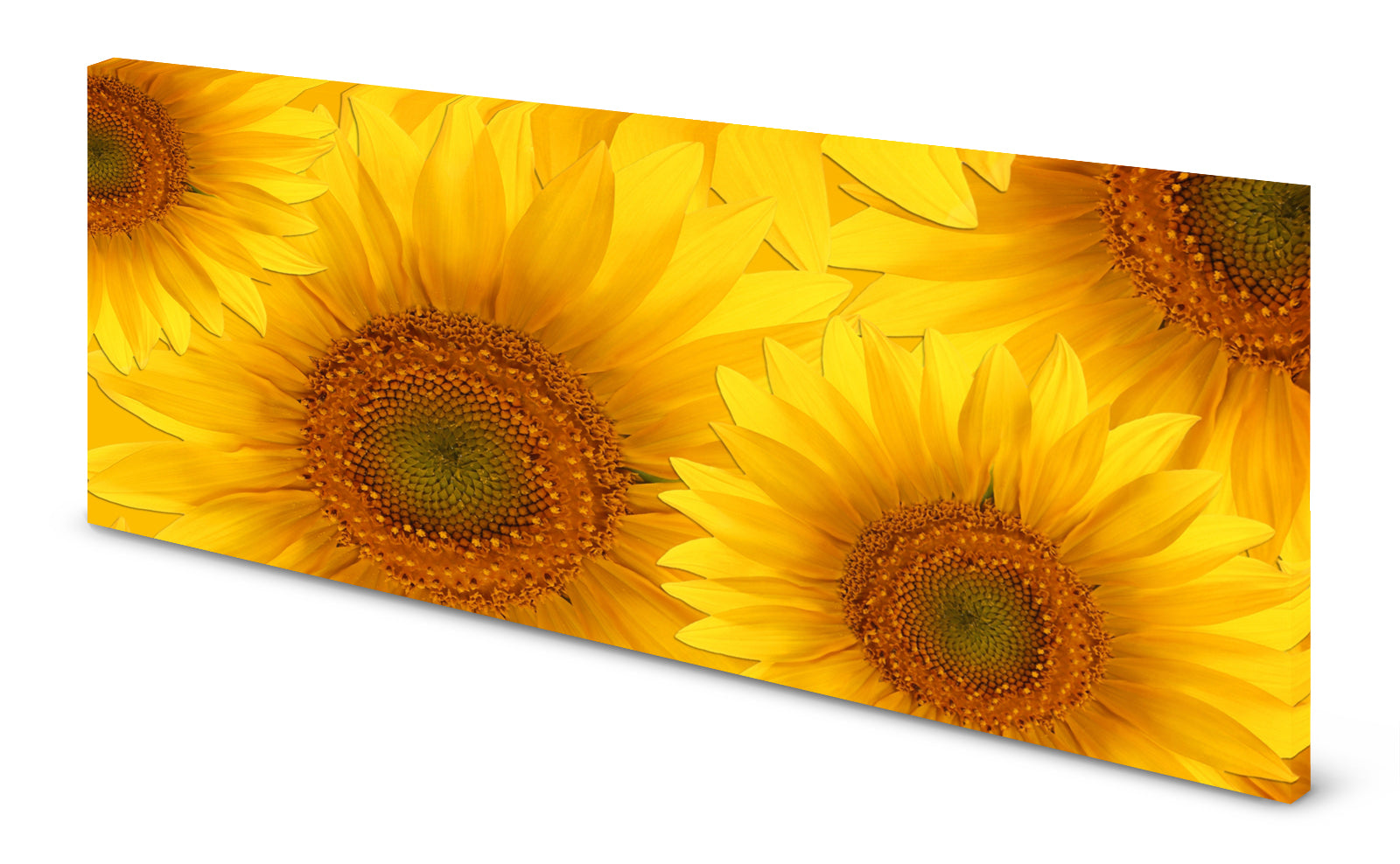 p0091-magnettafel-pinnwand-magnetbild-sonnenblumenddeeqmehrynsg