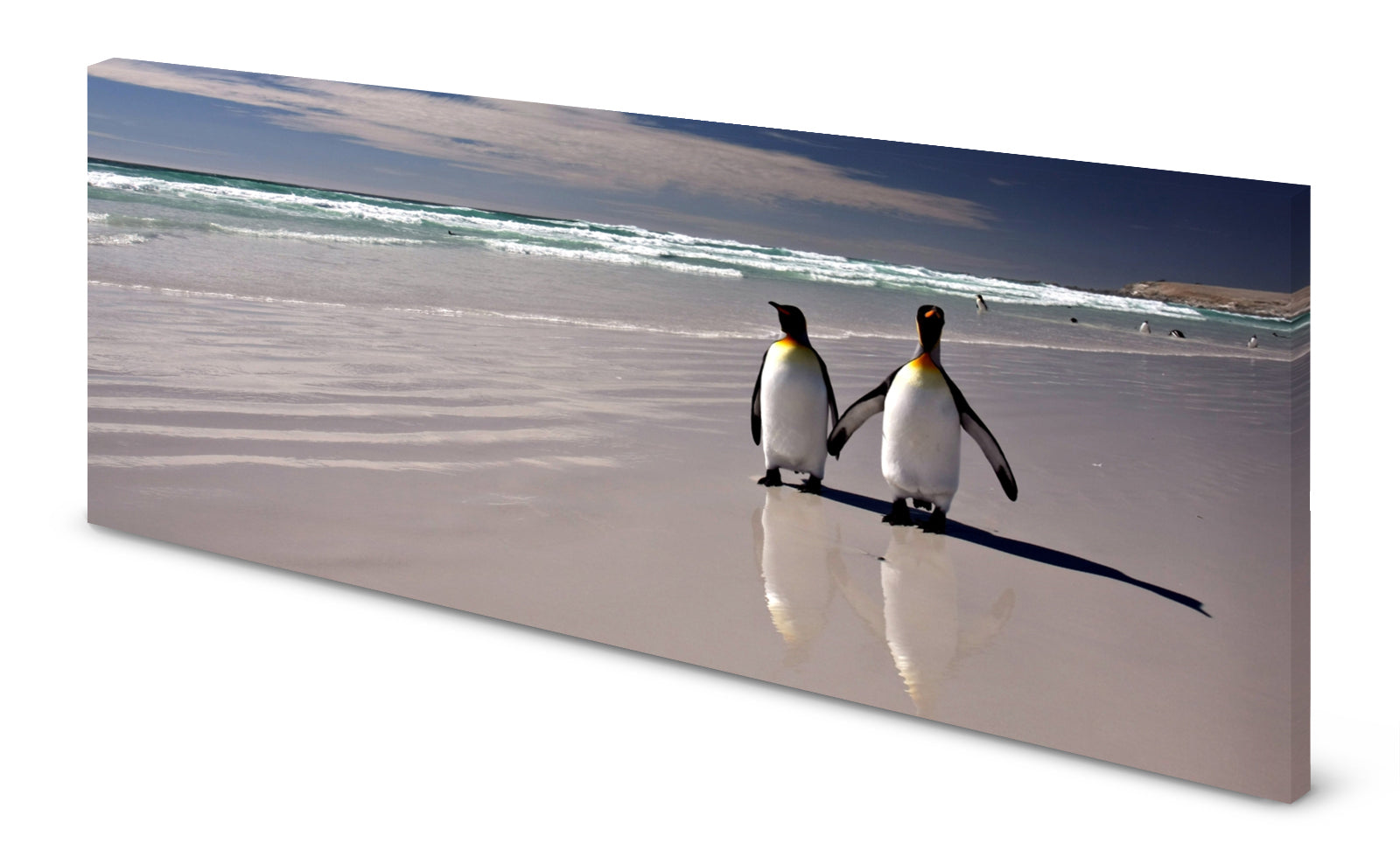 p0125-magnettafel-pinnwand-bild-pinguinkvedfqtdoesdm