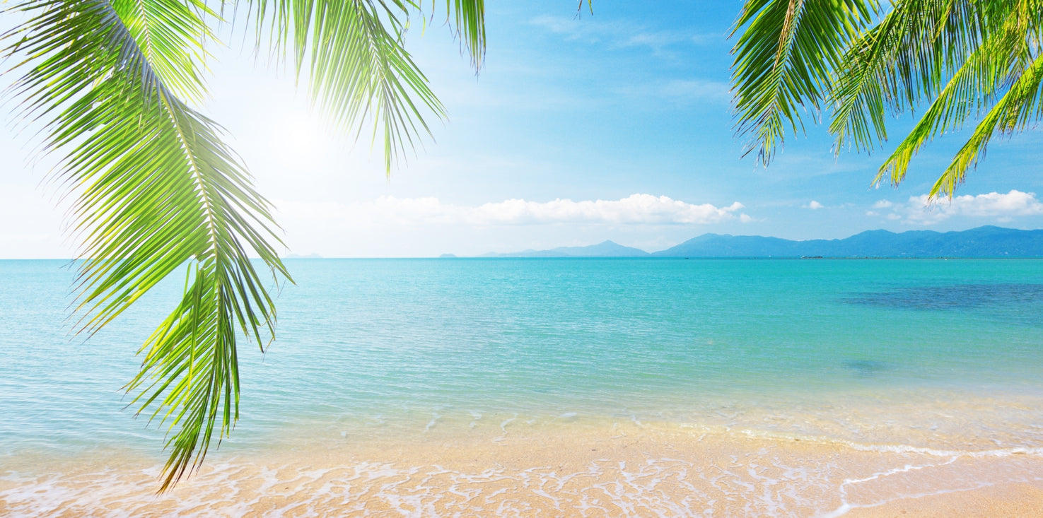 p0128-magnettafel-pinnwand-bild-strand-sonne-palmen