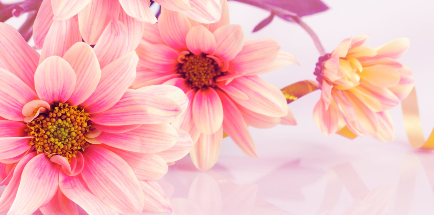 p0130-magnettafel-pinnwand-bild-blumen-flower-rosa