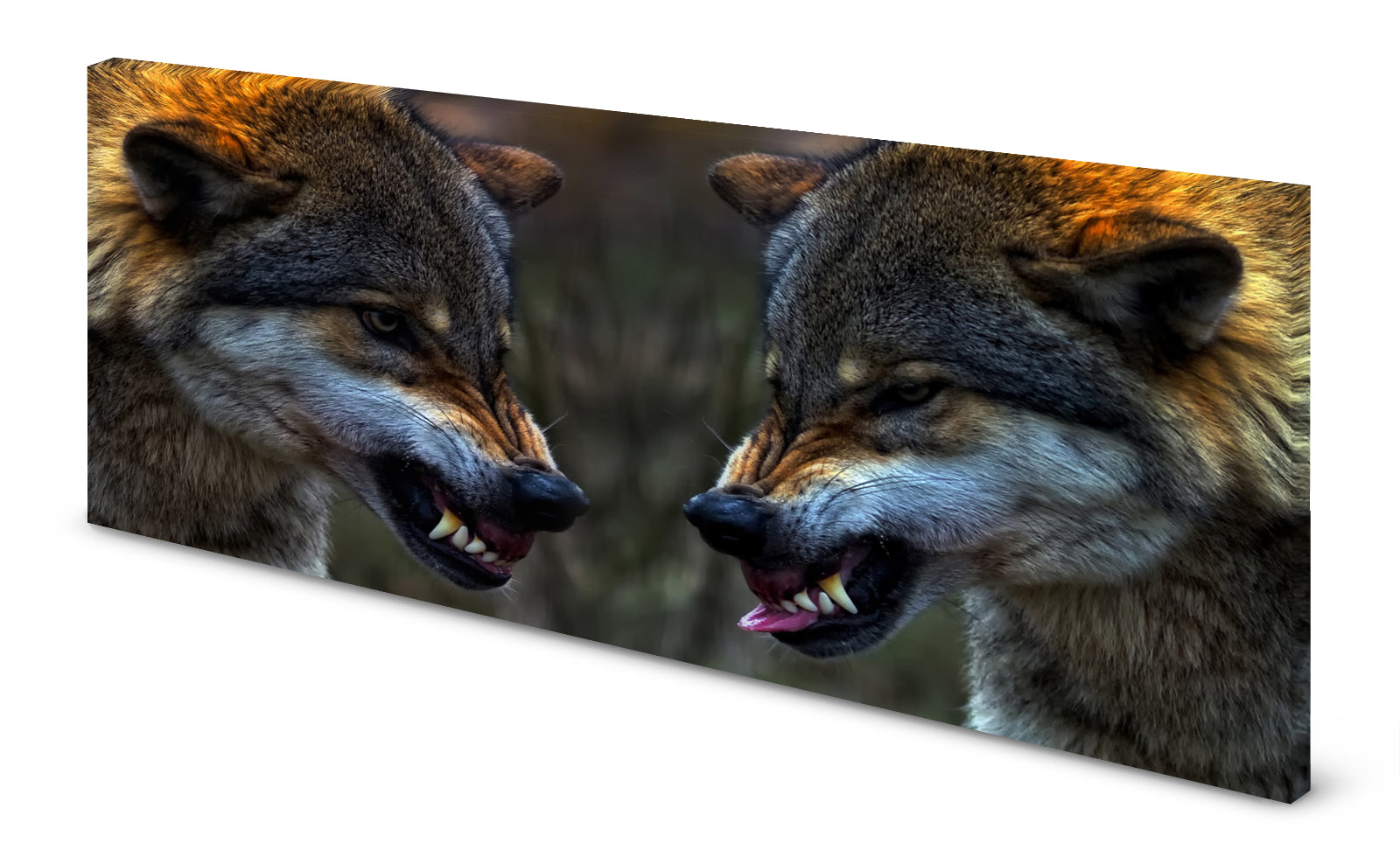 p0132-magnettafel-pinnwand-bild-wolf-woelfelzpch6jd75xqb