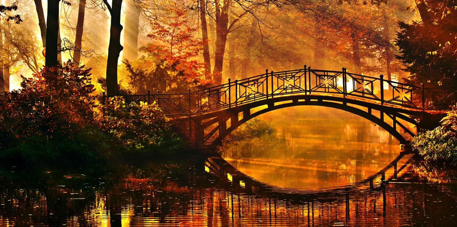 p0142-magnettafel-pinnwand-bild-rundbruecke-wald-fluss-herbst