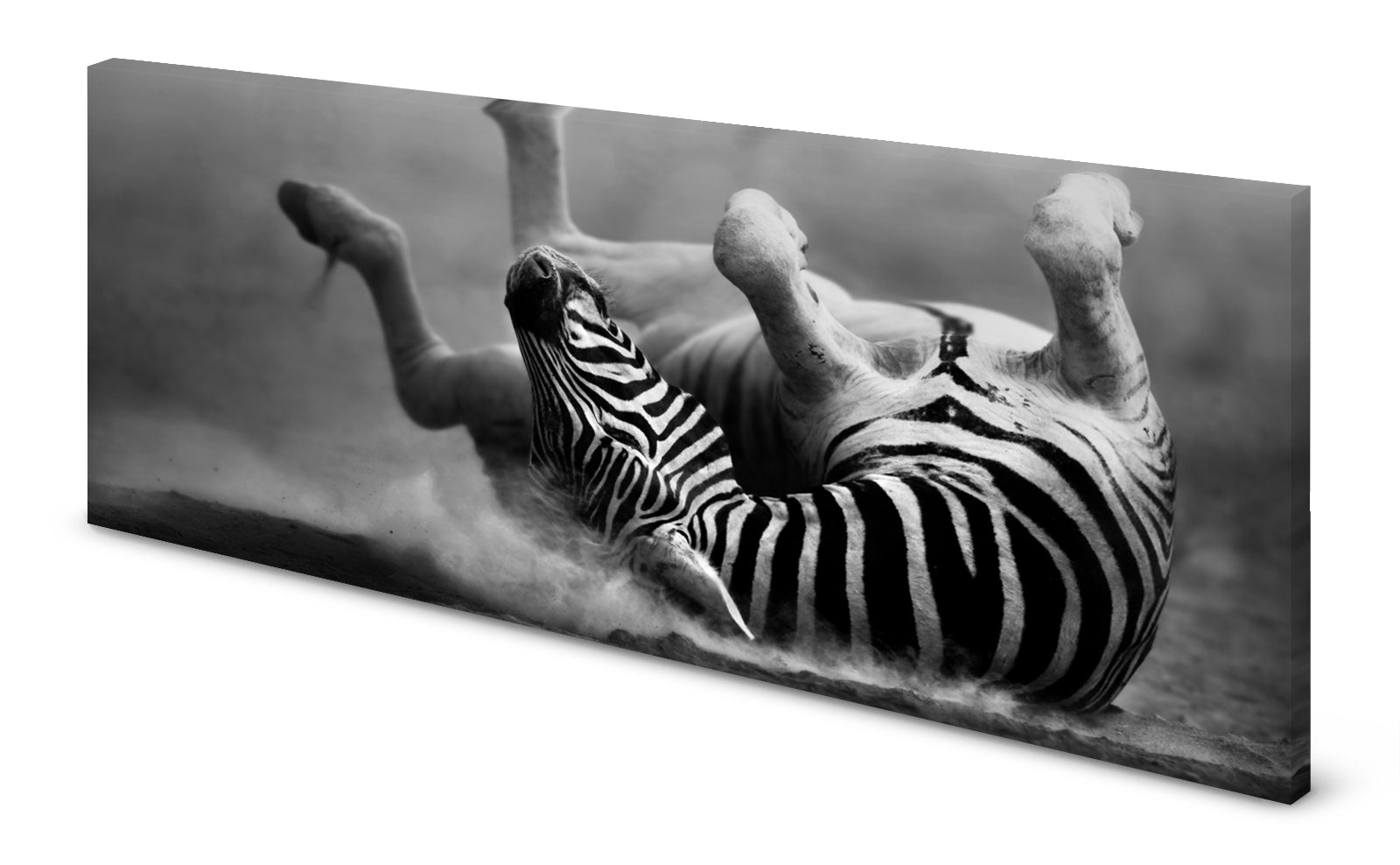 p0145sw-magnettafel-pinnwand-bild-zebraa6kpmty5gpglo
