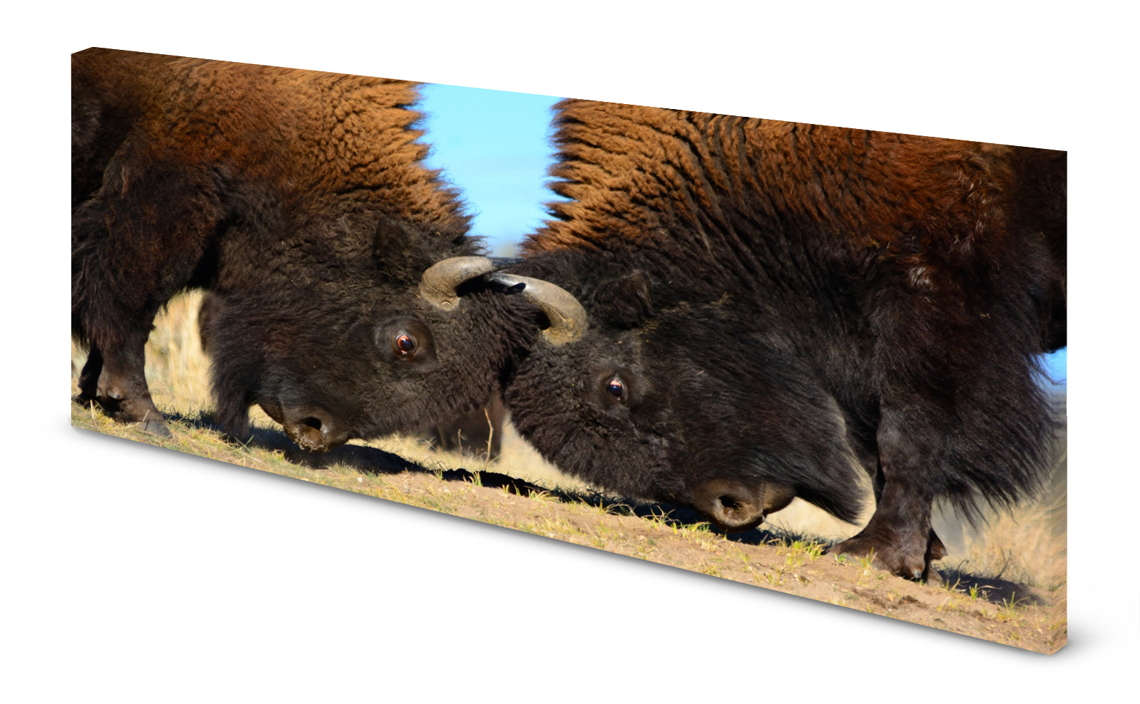 p0182-magnettafel-panorama-bild-bu-ffel-kampf