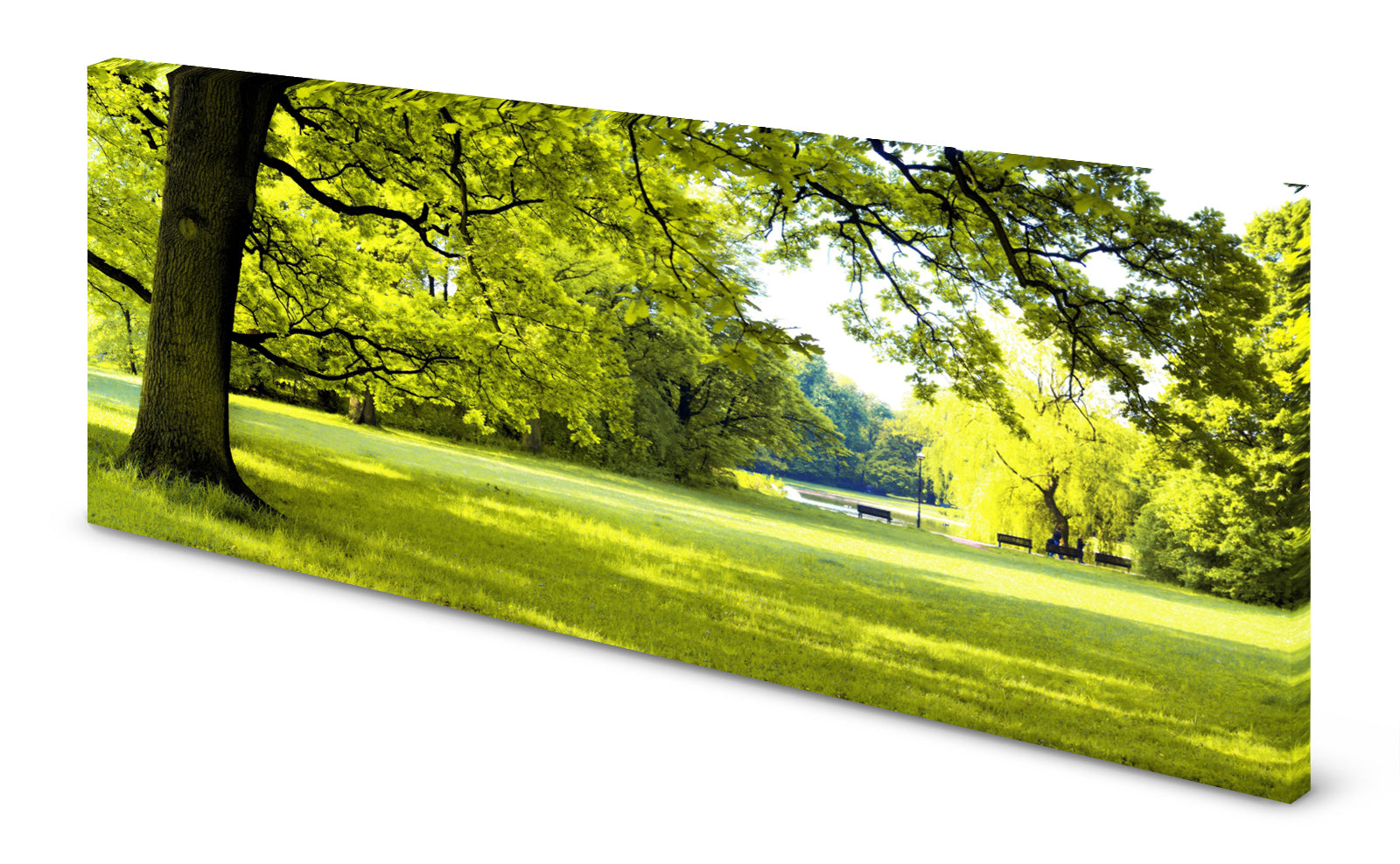 p0184-magnettafel-panorama-bild-park-see-linde-lindgru-n-gru-n