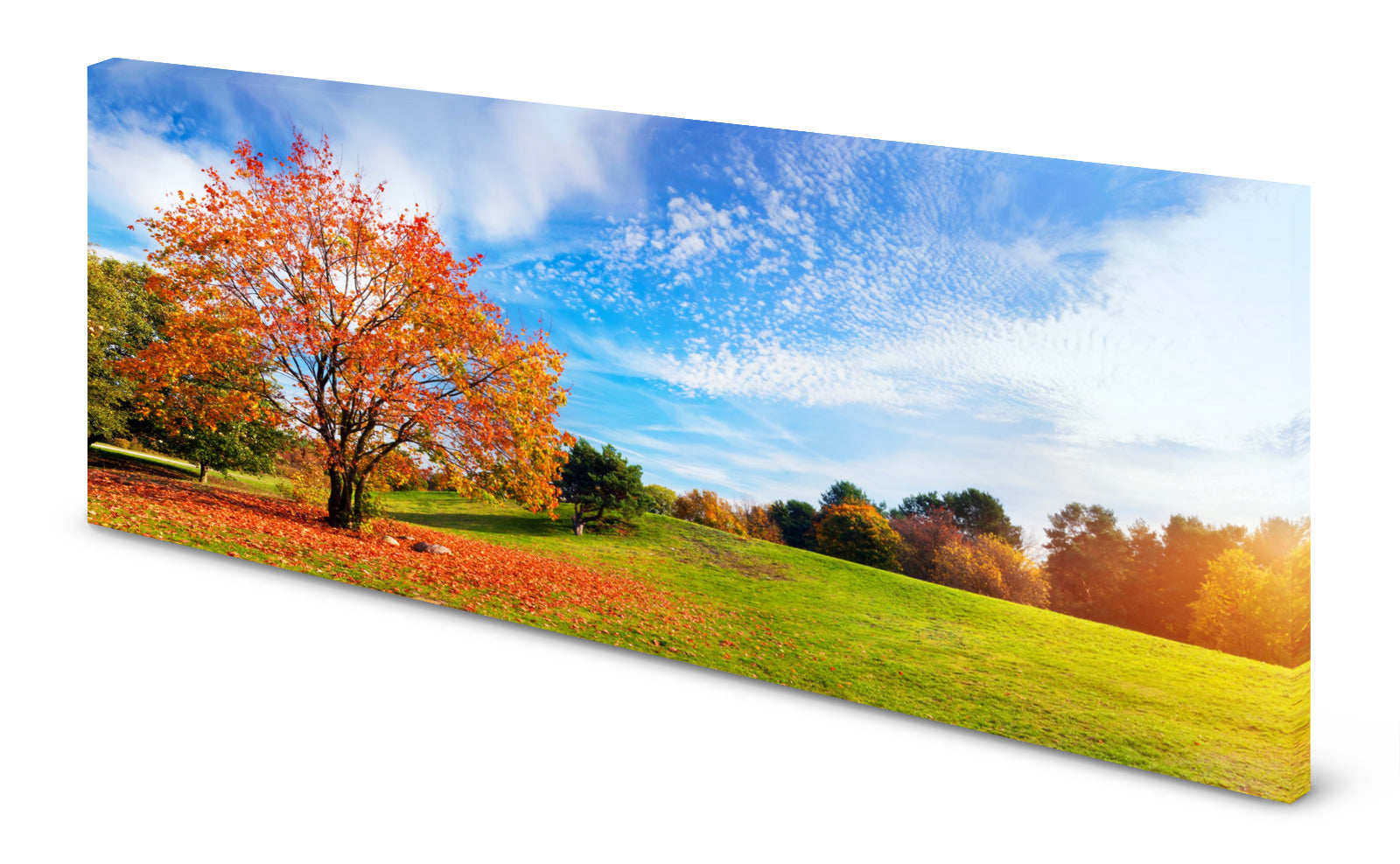 p0197-magnettafel-panorama-bild-park-baum-herbstqyxlknyx4eyle
