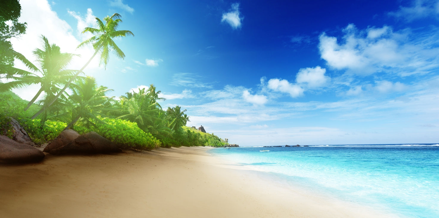 p0203-magnettafel-panorama-bild-palmen-meer-sonne