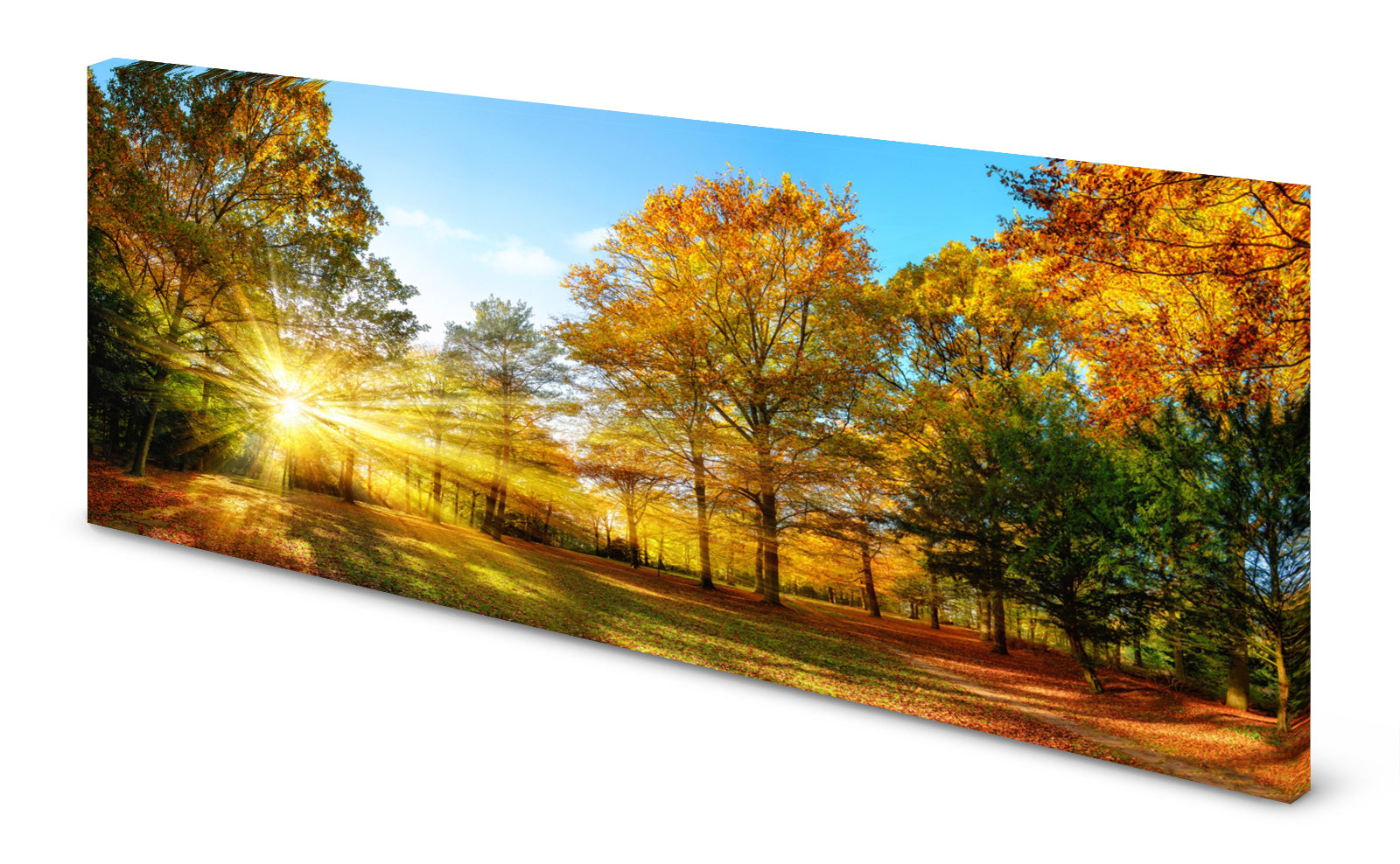 p0219magnettafel-bild-panorama-natur-herbst-waldlnezt1tfrs6dc