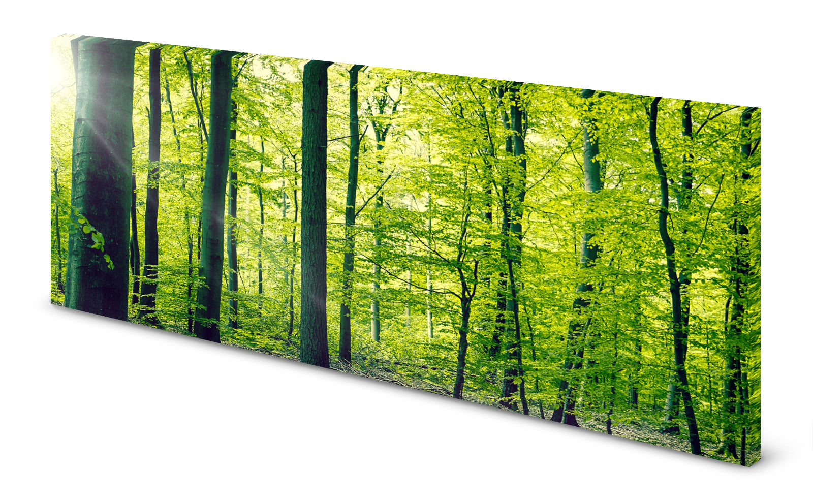 p0222-magnettafel-bild-panorama-waldt1k6hzdhui0vr