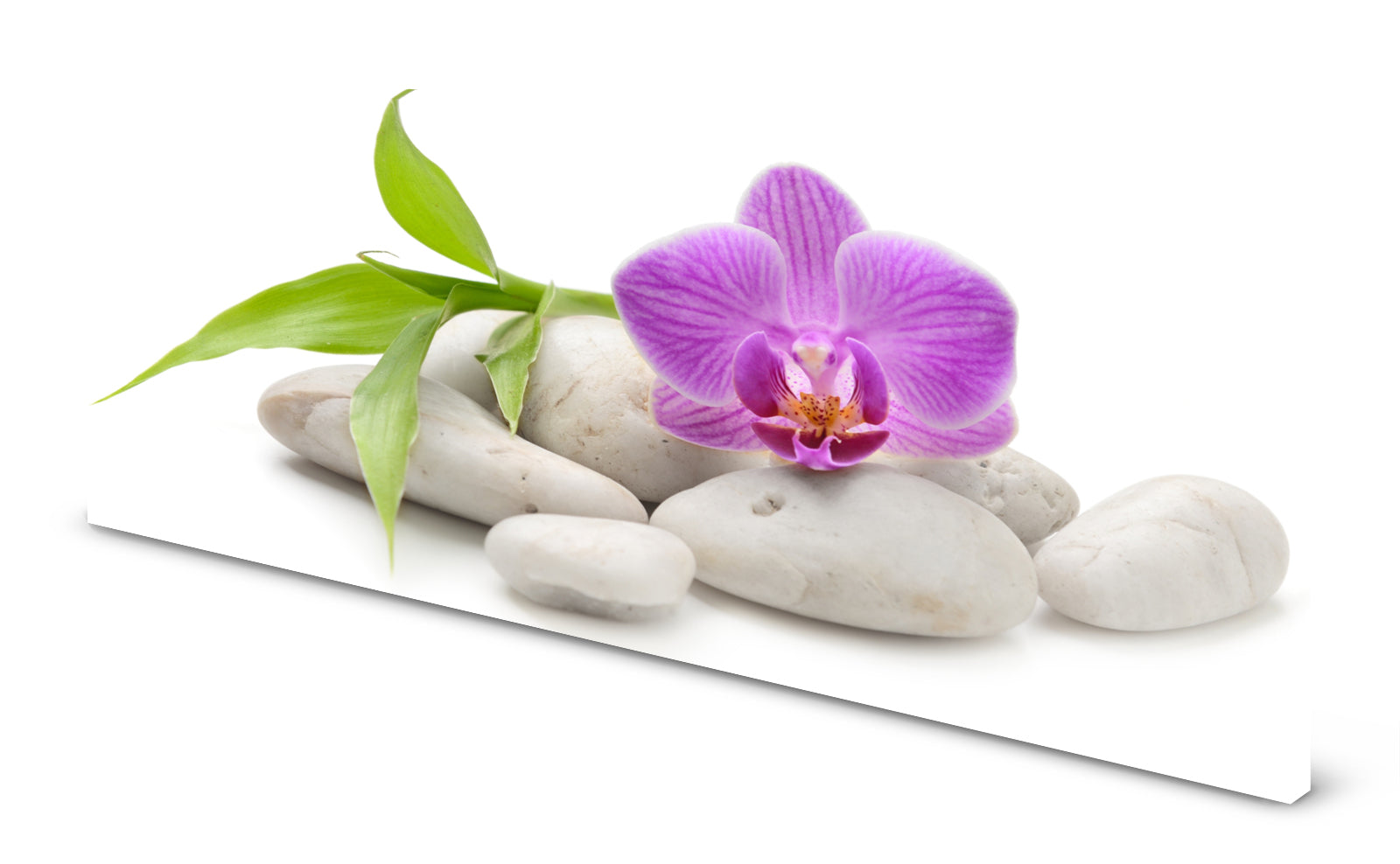 p0226-magnettafel-bild-panorama-orchidee-steine-wei-zen-pink