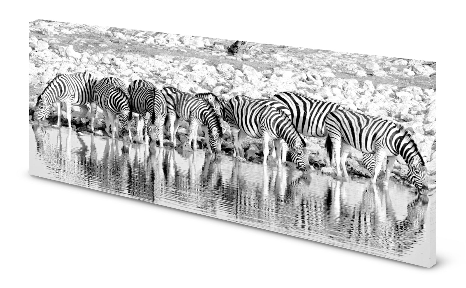 p0252sw-magnettafel-panorama-bild-zebra-herde-steppe-wasseruwinbvdhmb9ie