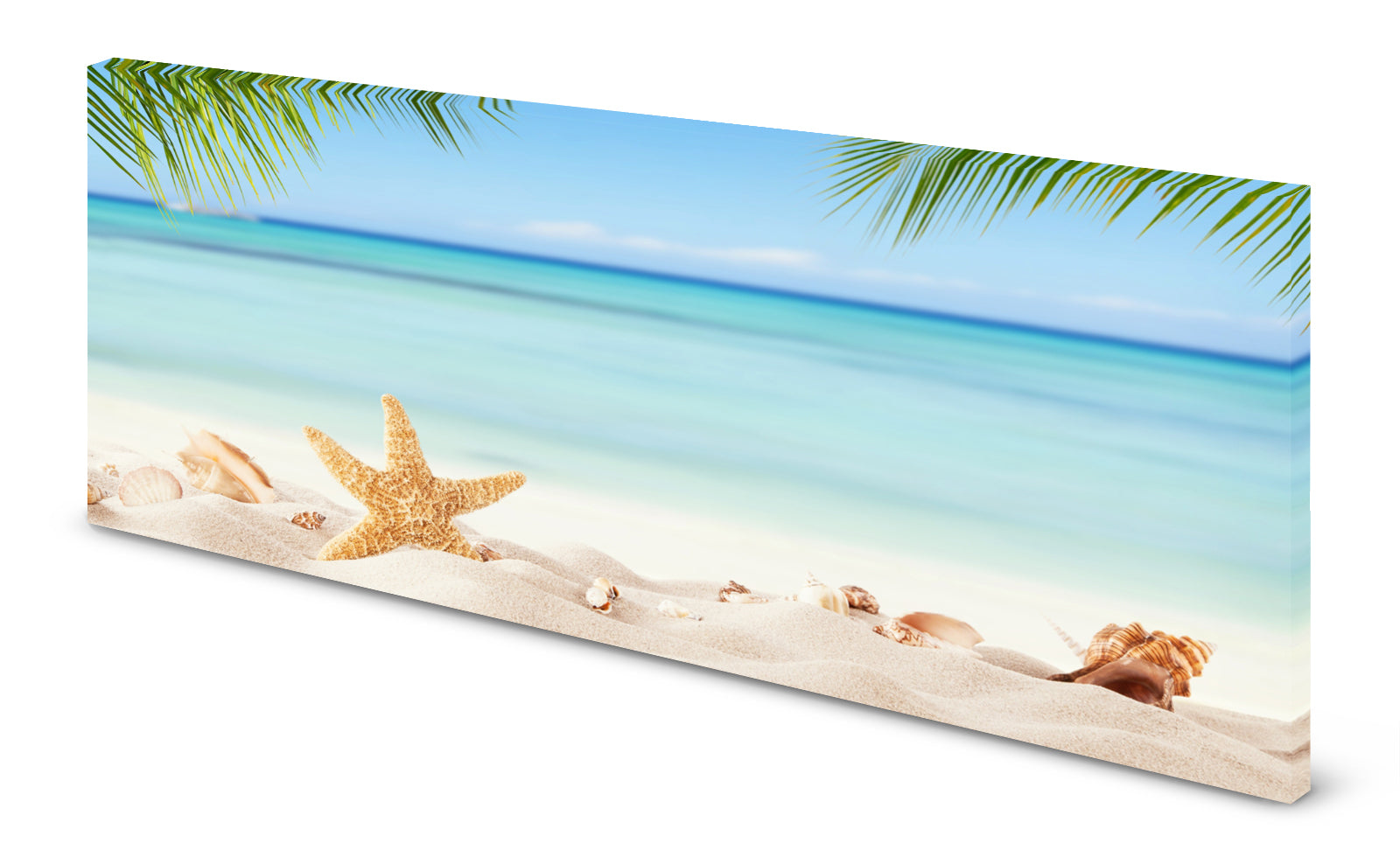 p0253-magnettafel-panorama-bild-seestern-urlaub-strandjohb9hj6tcslw