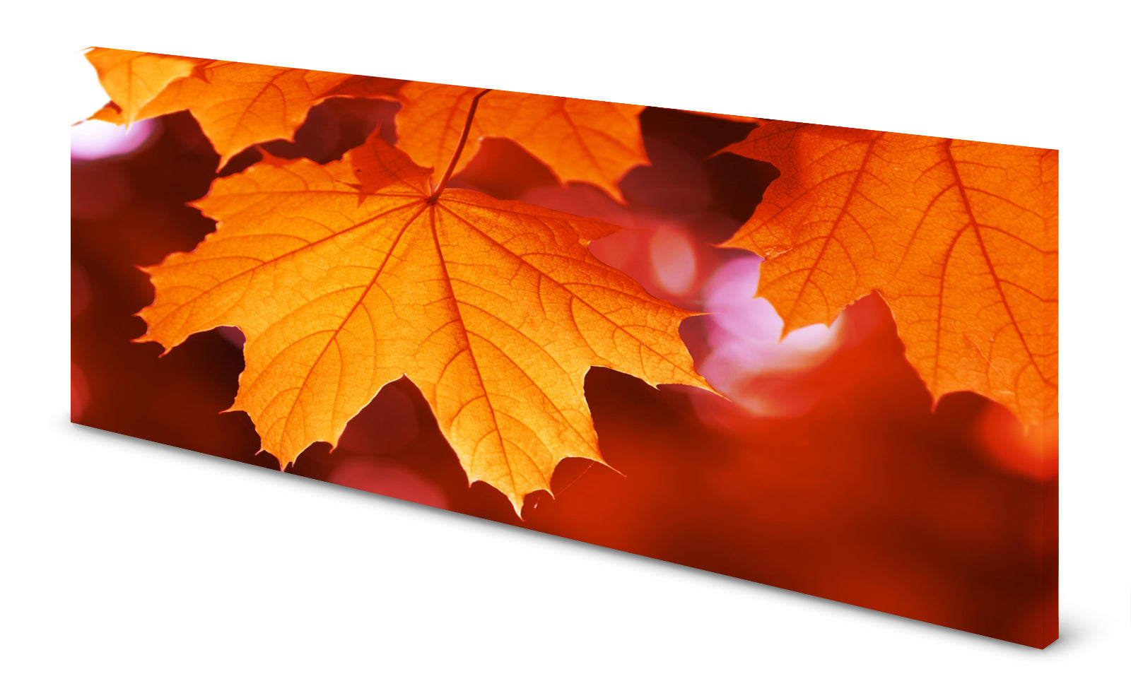 p0258-magnettafel-panorama-bild-herbst-baum-blatt-indian-summerodi19vqyoqdaq