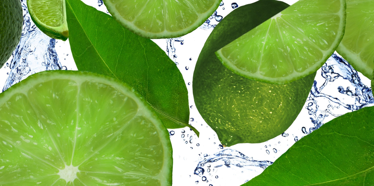 p0270-magnettafel-panorama-bild-limone-lemon-k-cke