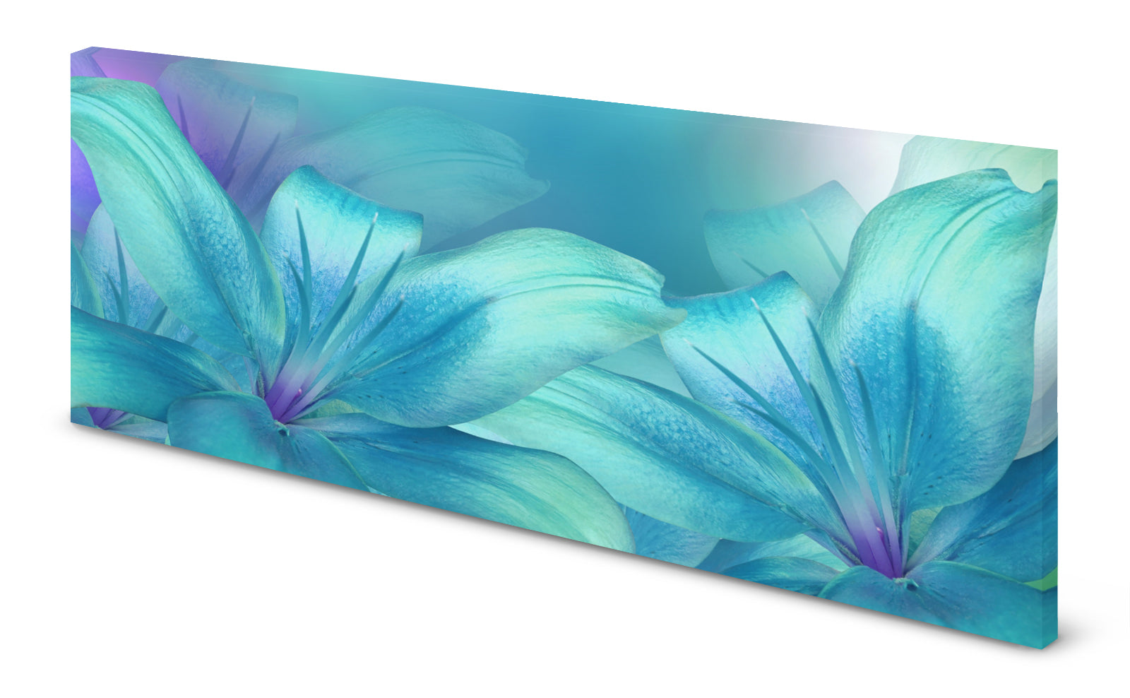 p0274-magnettafel-panorama-bild-blu-te-tu-rkis-aquamarin