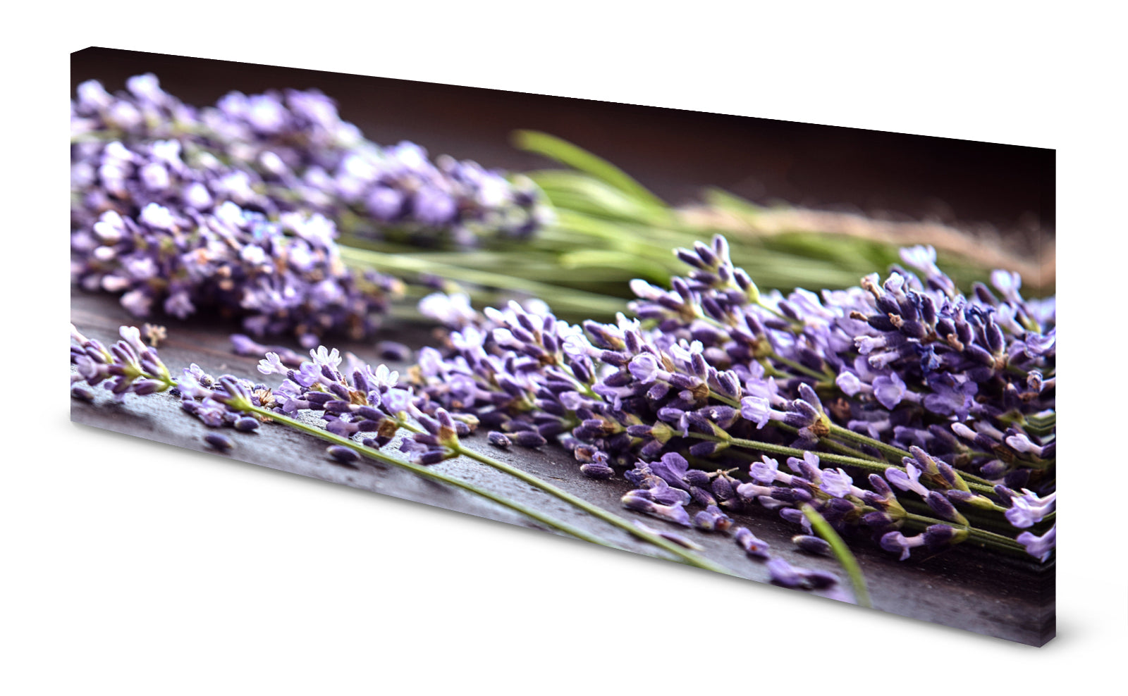 p0288-magnettafel-panorama-bild-kra-uter-heilkra-uter-lavendel