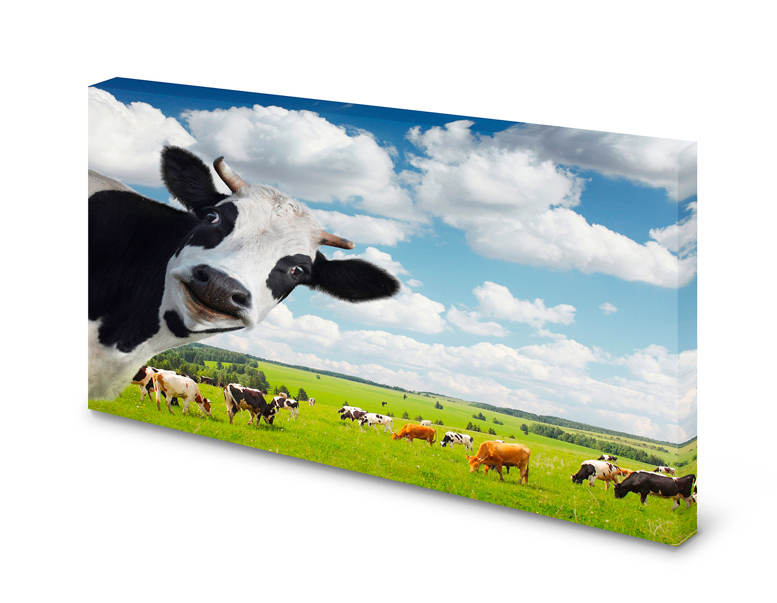 pn0037_60x40-pinnwand-magnettafel-kih-herde-weidewkpzdbdqhe687