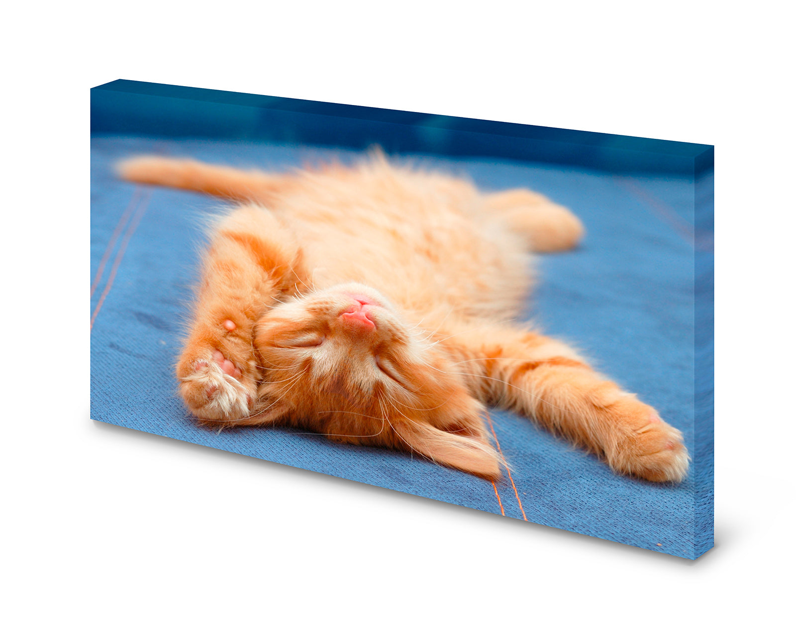 pn0040_60x40-pinnwand-magnettafel-katenbaby4ft4qumseqmn7