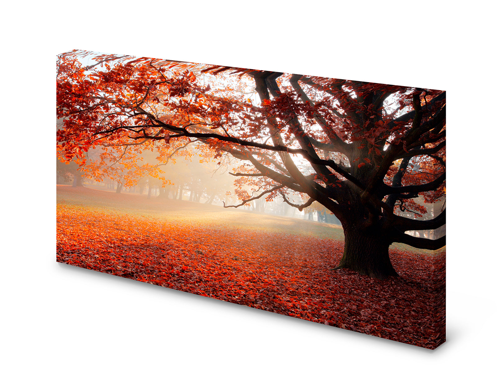 pn0107-60x40-pinnwand-natur-eiche-herbstqjuxnliyer4to