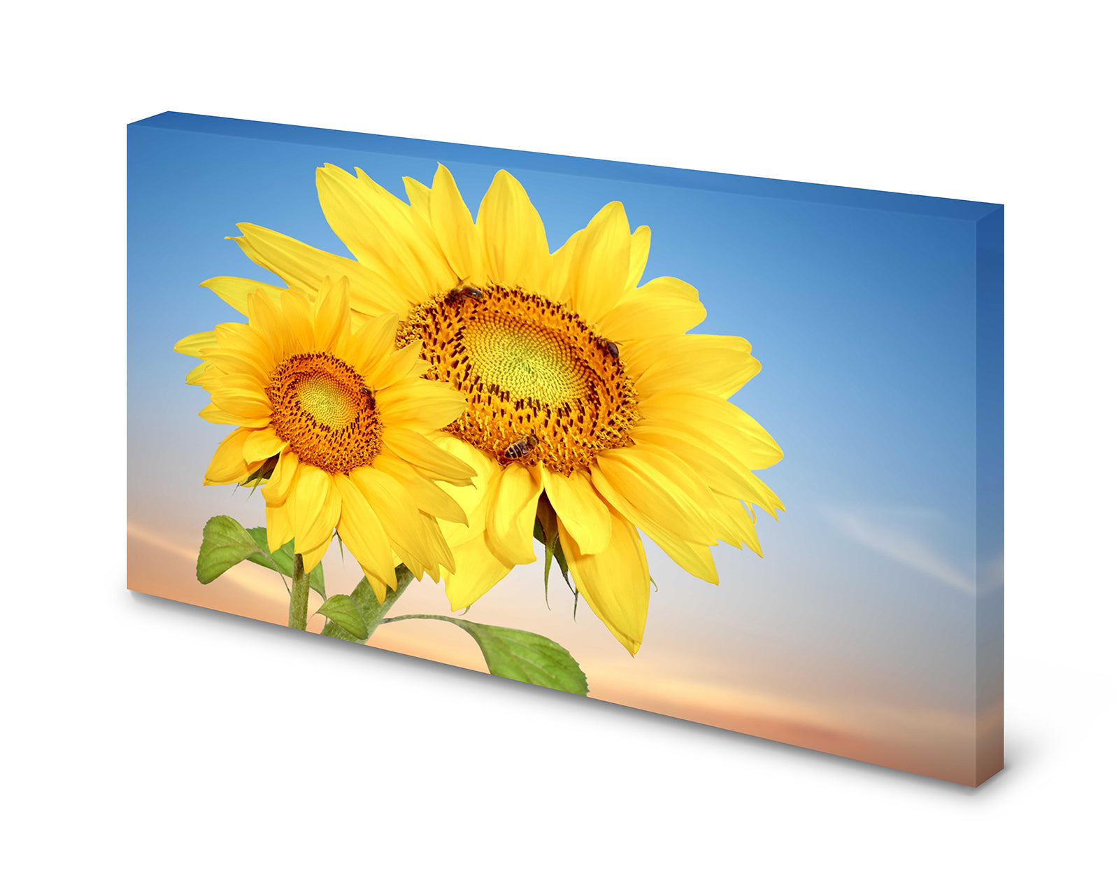 pn0127-magnettafel-pinnwand-sonnenblumen-blumenavgz5btv8duov