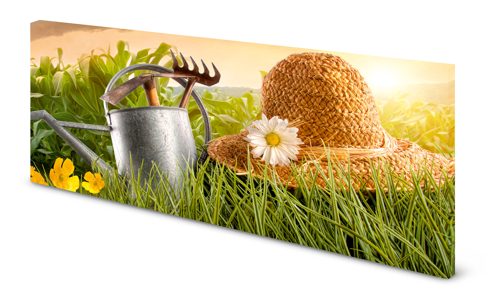 pn0132-120x60plfmmeqynynwp