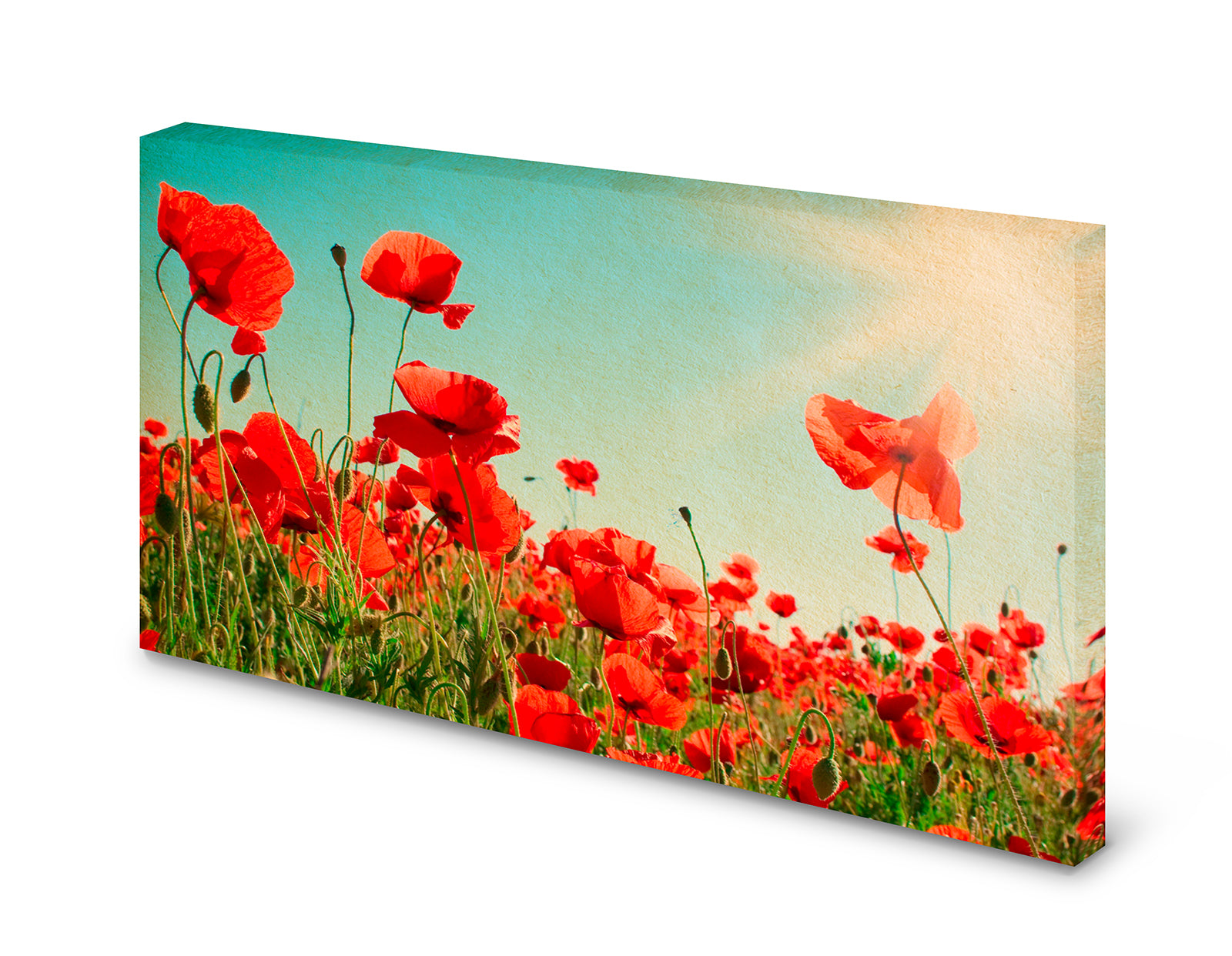 pn0133-magnettafel-pinnwand-mohnblumen-rot5ojfvqpeyv4mv