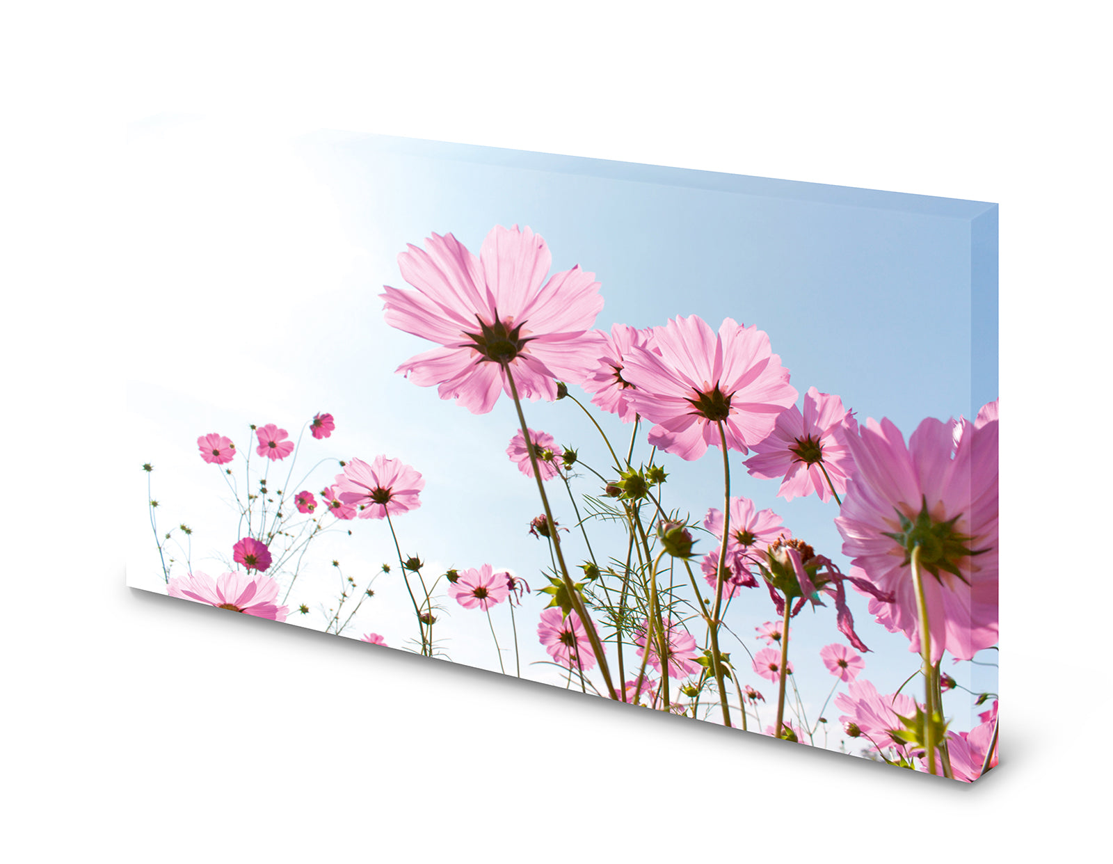 pn0134-magnettafel-pinnwand-sommer-blumewvhqi9wpk5mtq