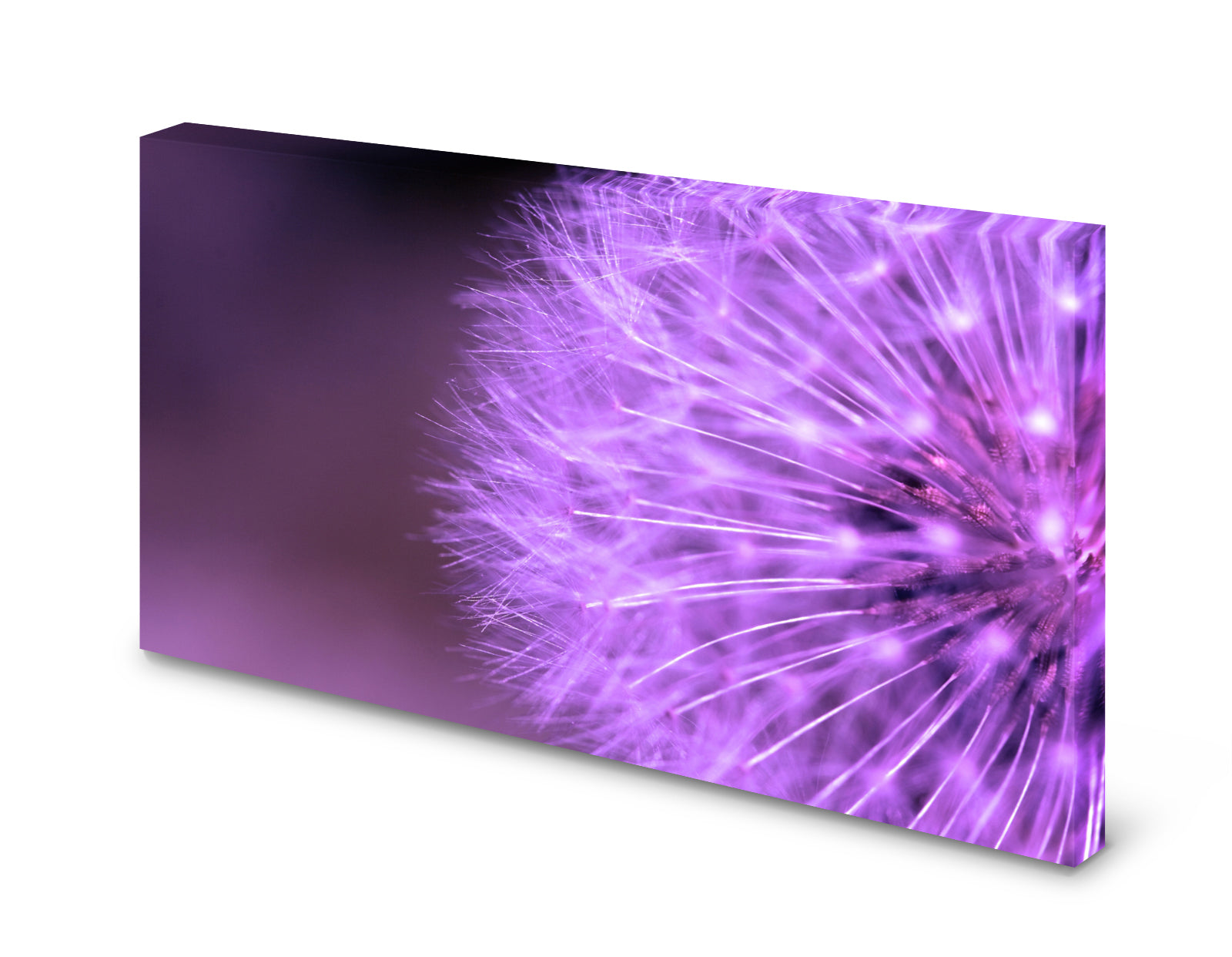 pn0143-magnettafel-pinnwand-lila-loewenzahn6kqemxyujsos5
