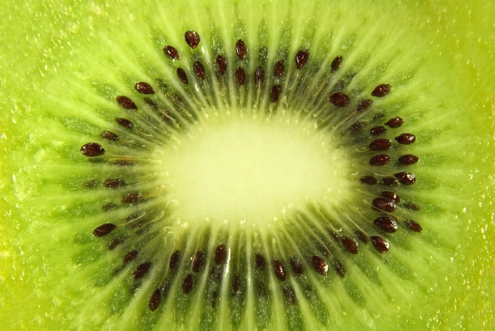pn0146-magnettafel-pinnwand-k-che-kiwi