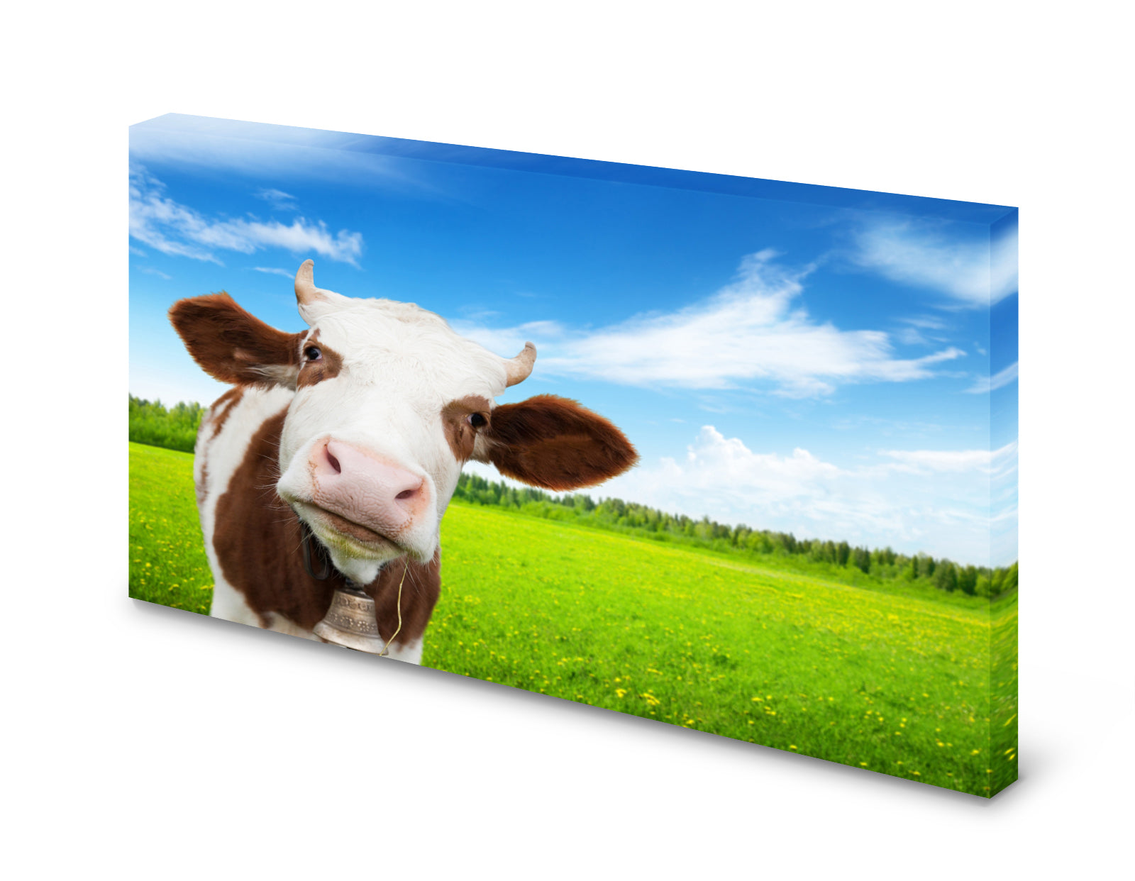 pn0175-magnettafel-pinnwand-kuh-rind-fleckvieh8gbnmxrav9ehr
