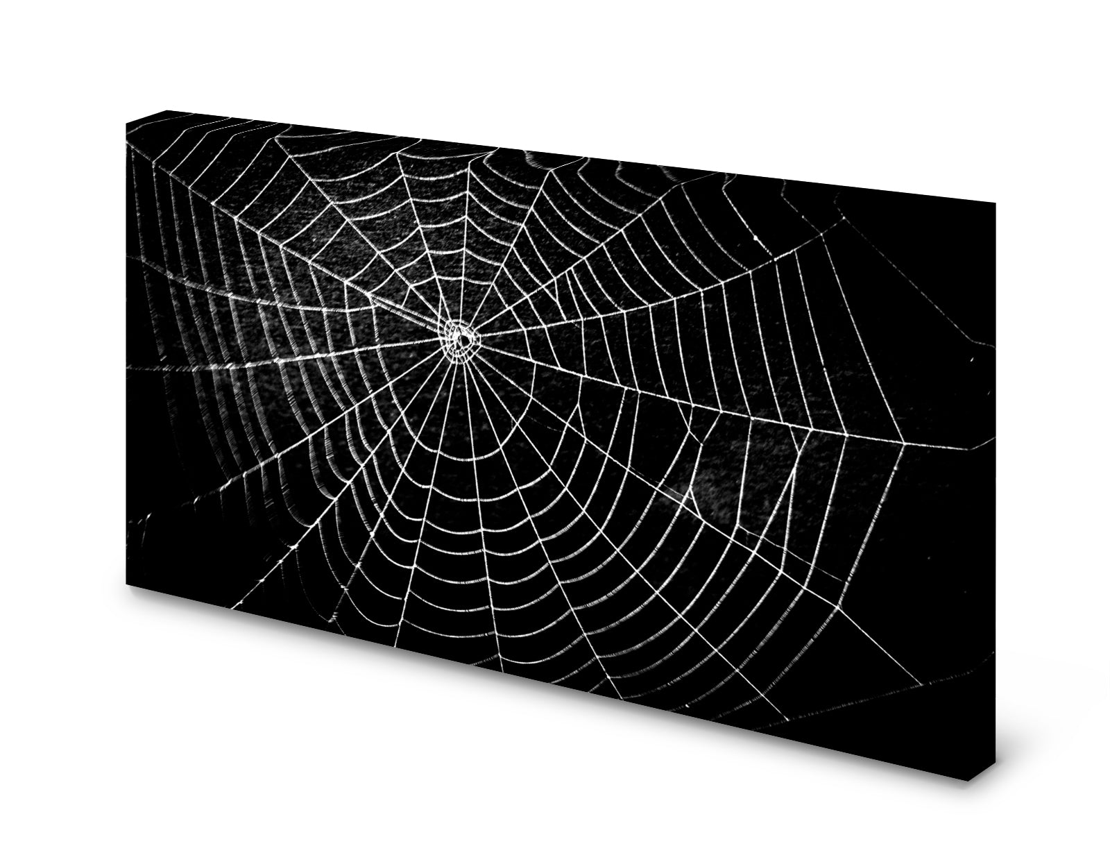 pn0187-magnettafel-pinnwand-spinnennetzwyosul0dsclm2