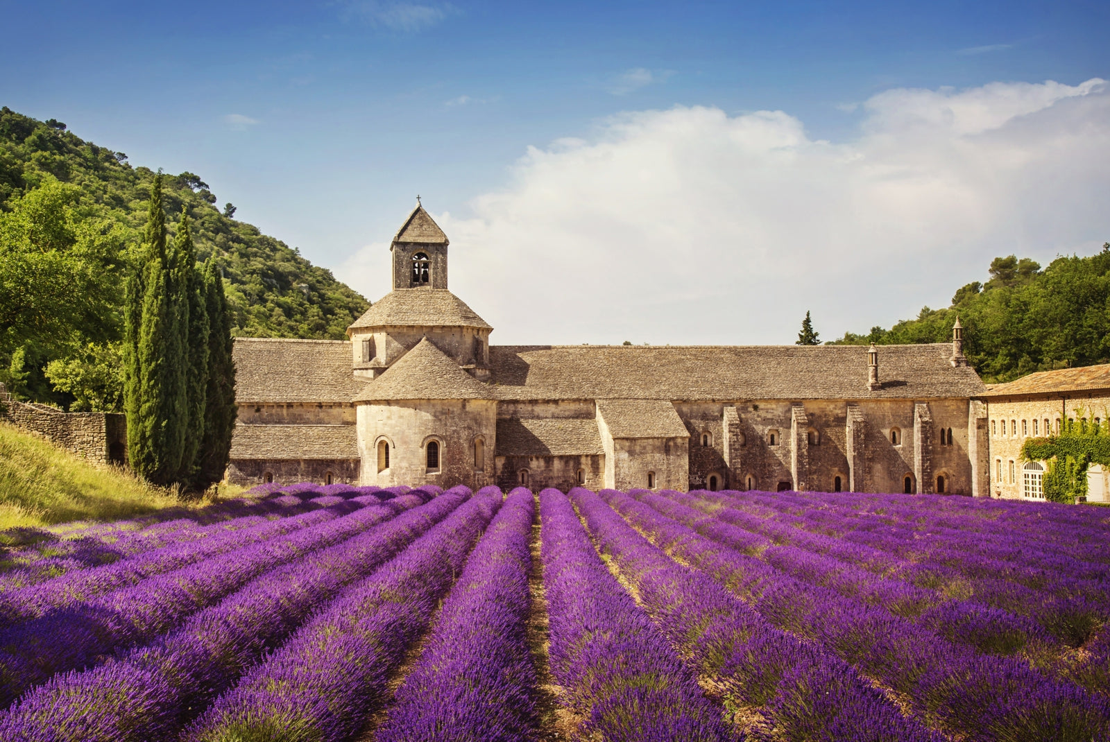 pn0232-60x40-magnettafel-pinnwand-bild-senanque-abbey-lavendel