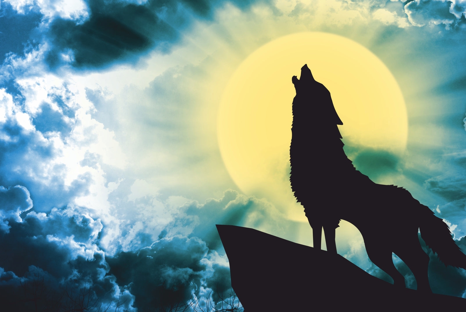 pn0243-60x40-magnettafel-pinnwand-bild-wolf-vollmond