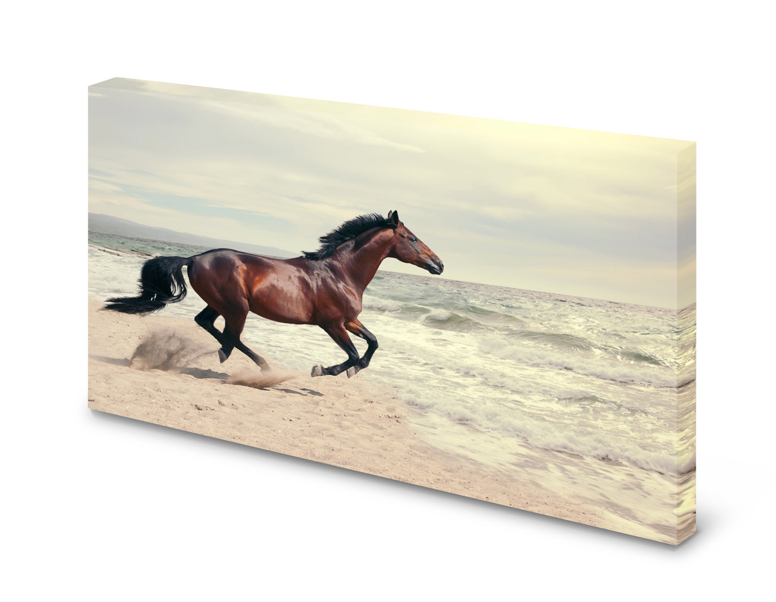 pn0275-60x40-magnettafel-pinnwand-bild-pferd-strand-meer7freb9jo9gqbk